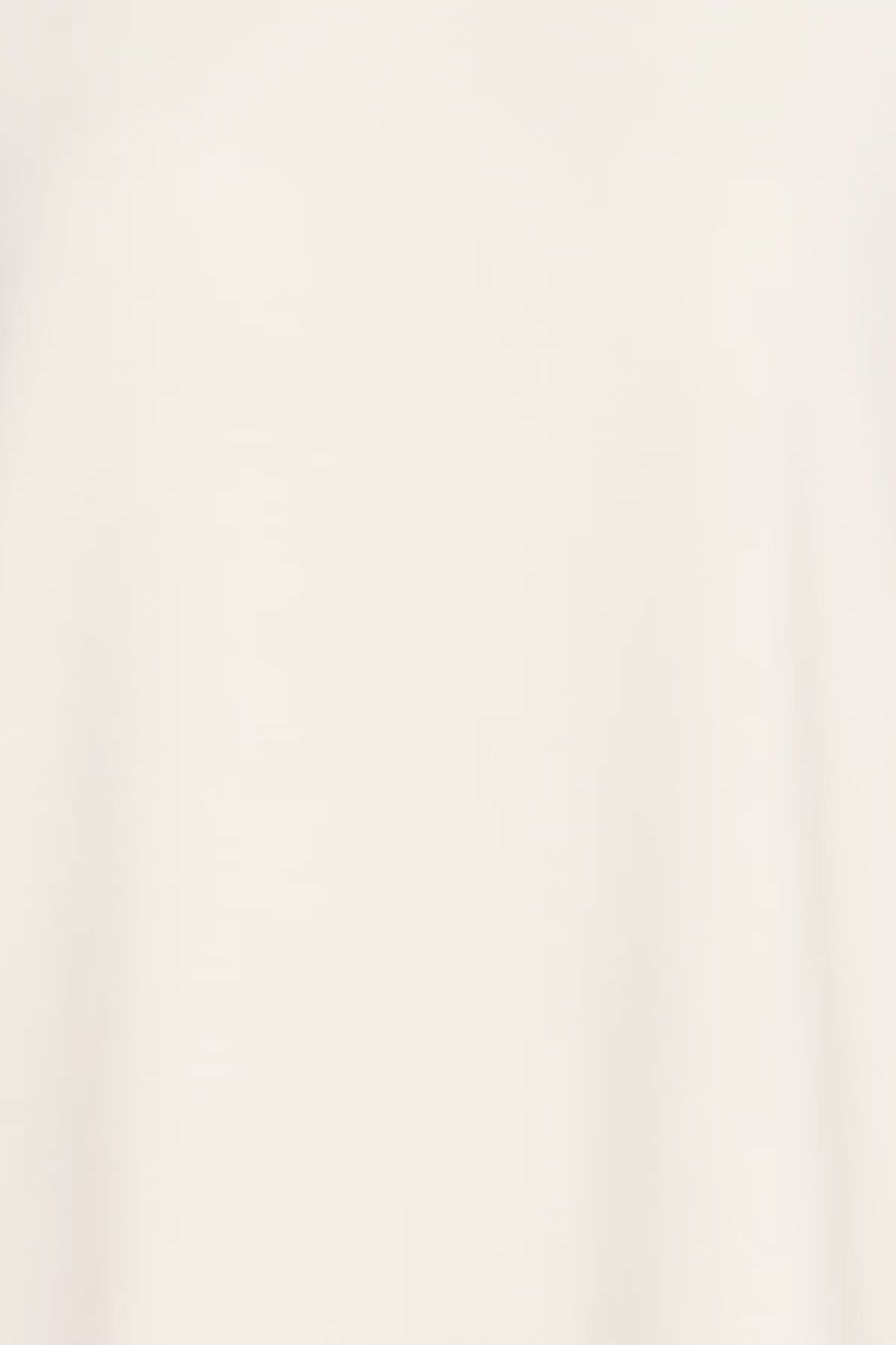 FRAURORA Sweatshirt PACK DETAIL 20615532-110701