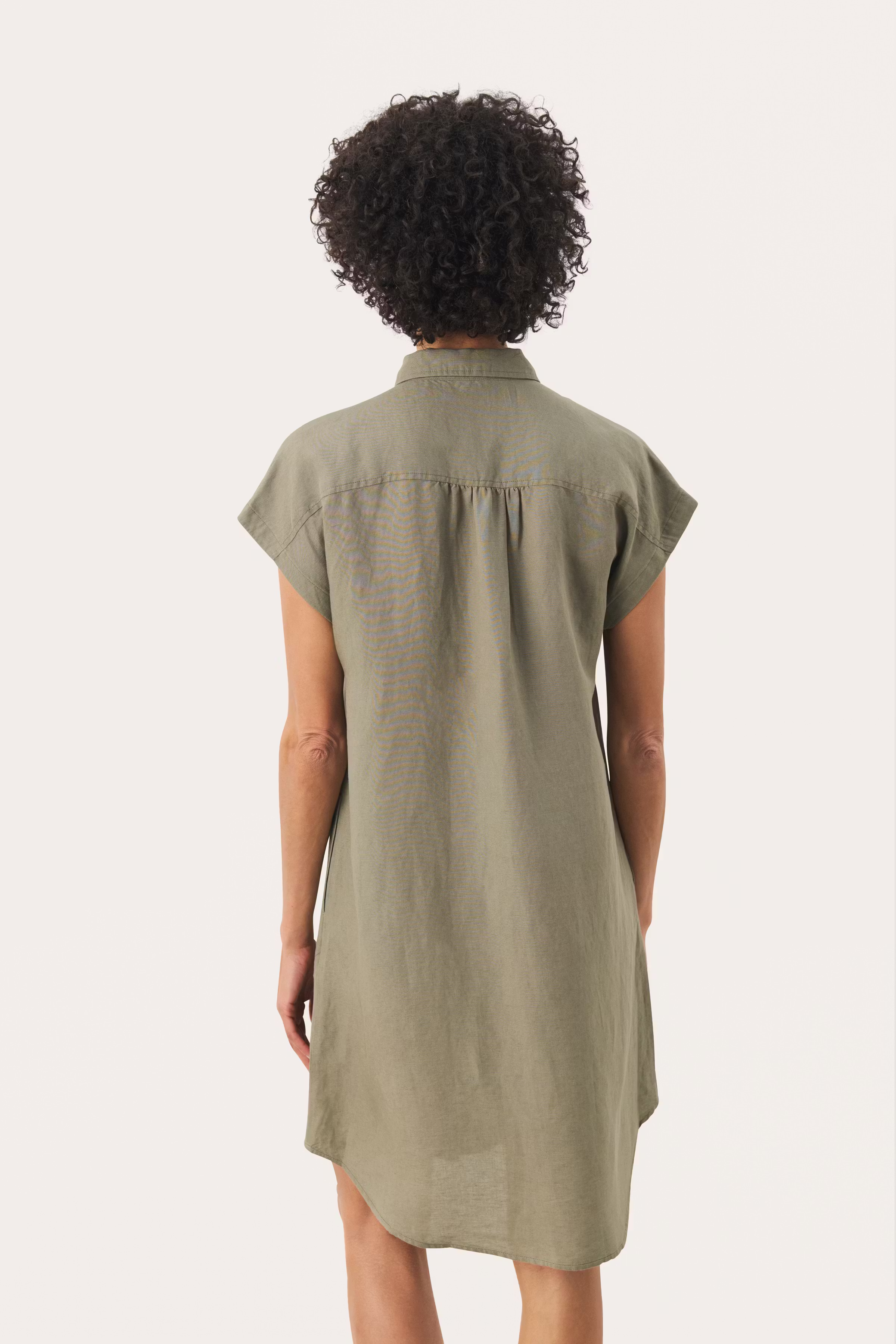 EllenaPW Dress LOOKBOOK BACK 30309789-170613