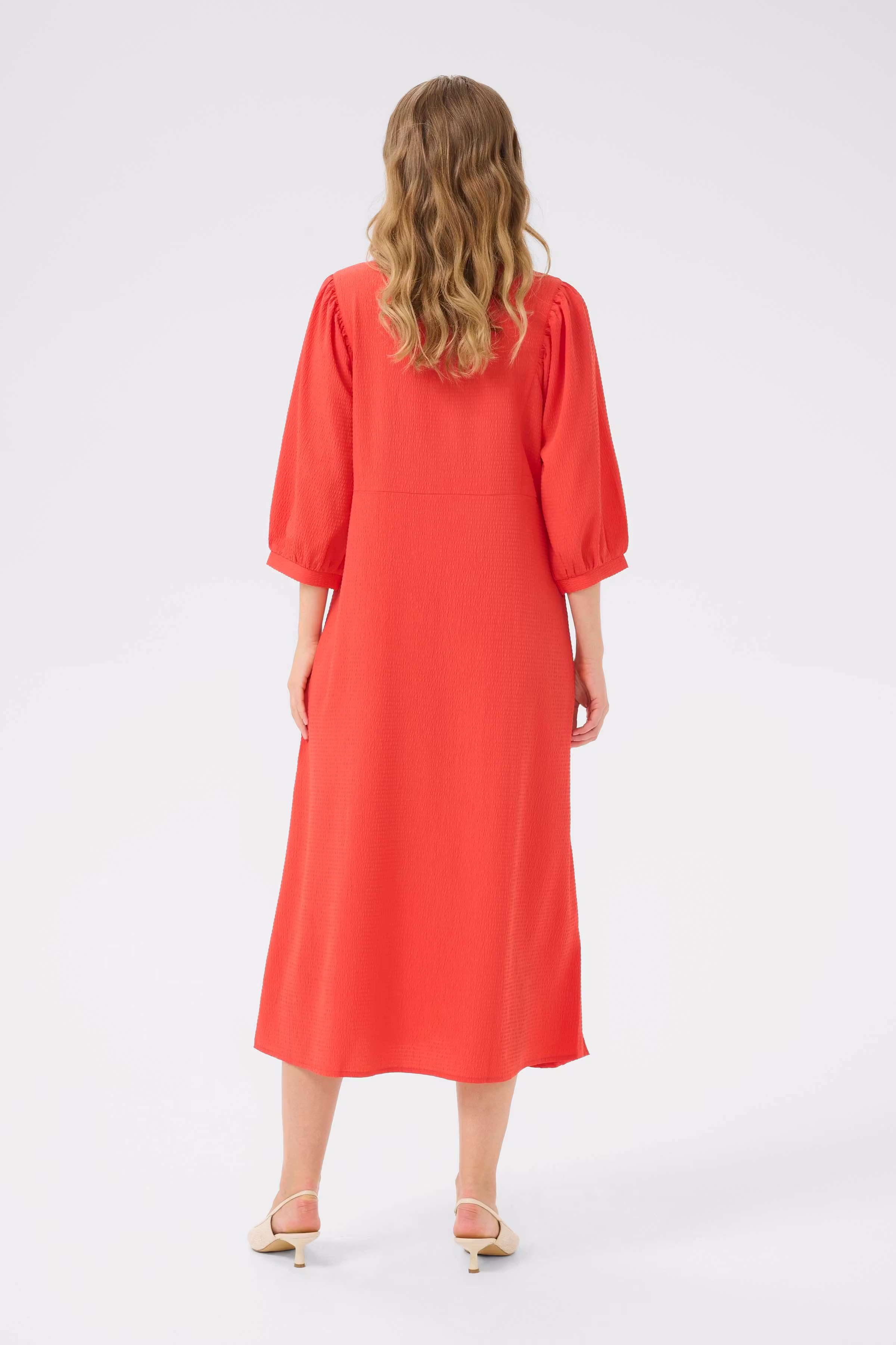 BPzofia Kleid LOOKBOOK BACK 10590872-171663B