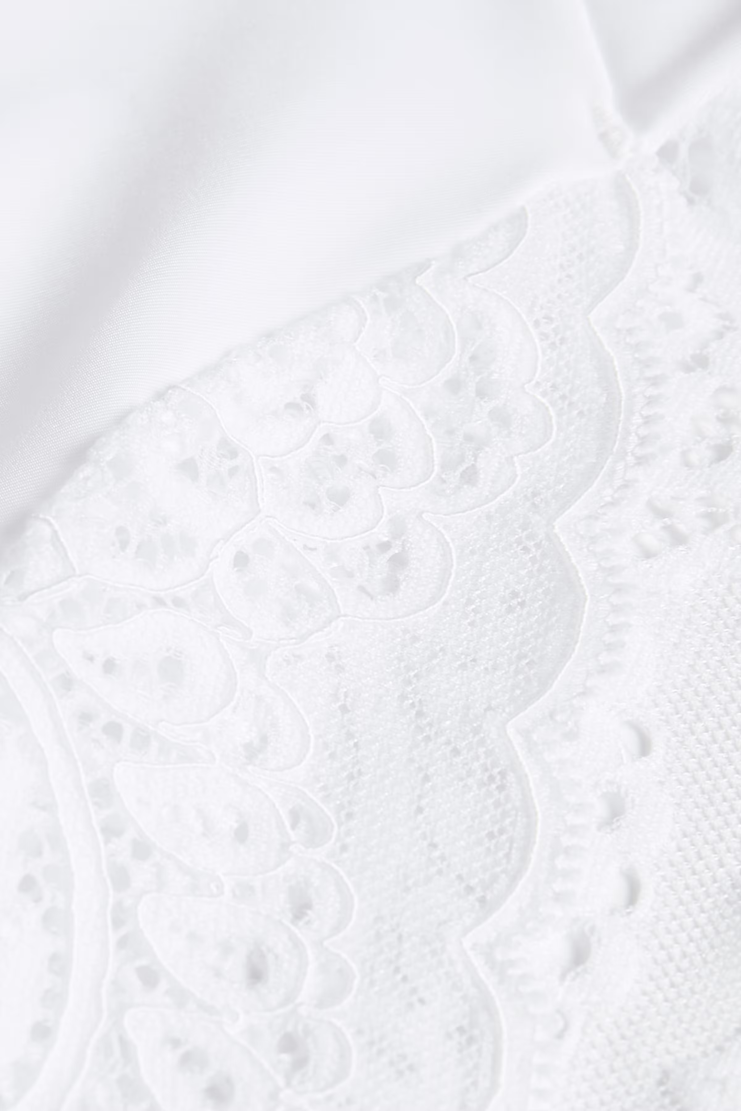 Pantie PACK DETAIL 40500009-T0003