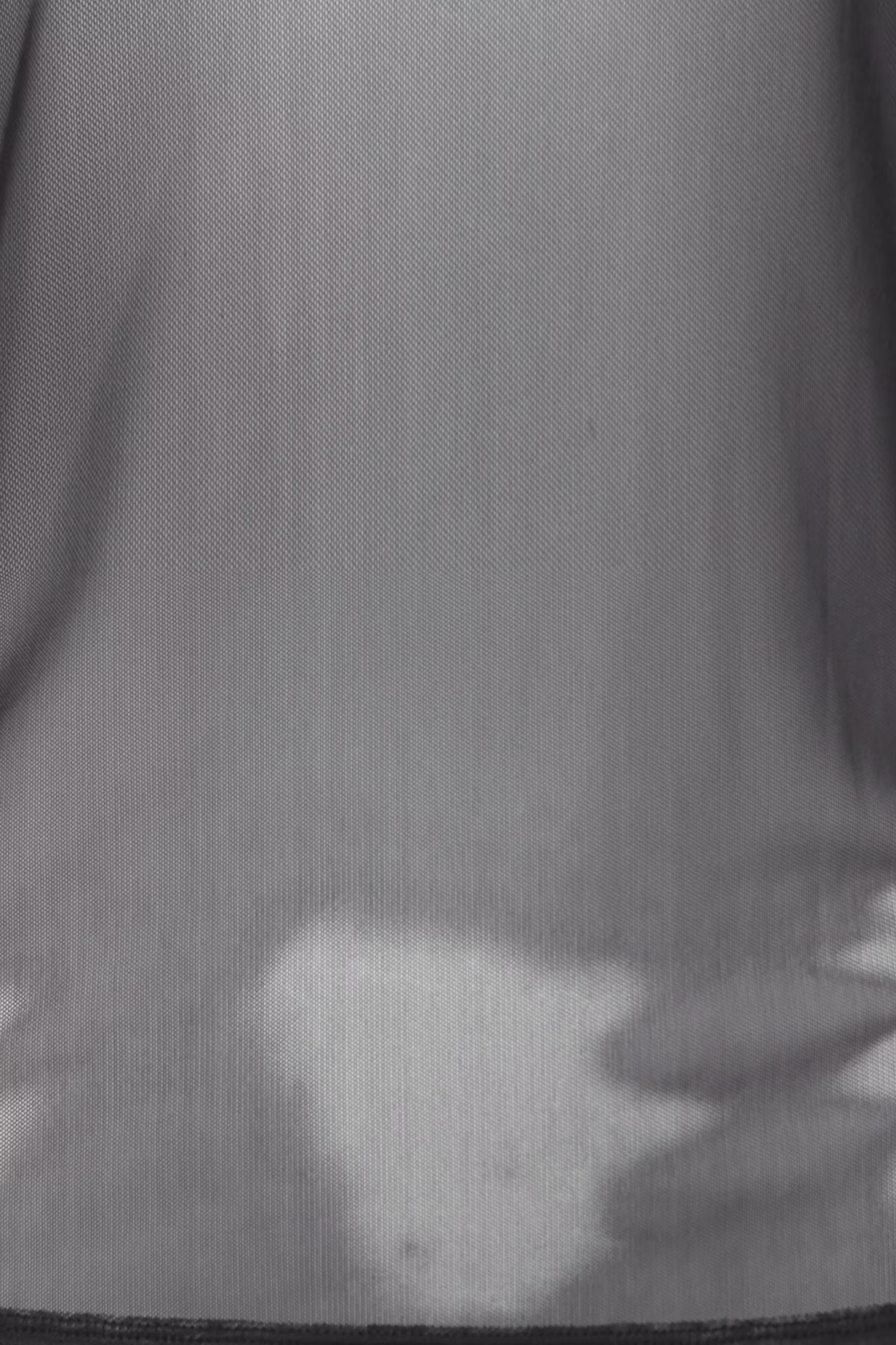 PZDANA T-shirt PACK DETAIL 50206534-193911