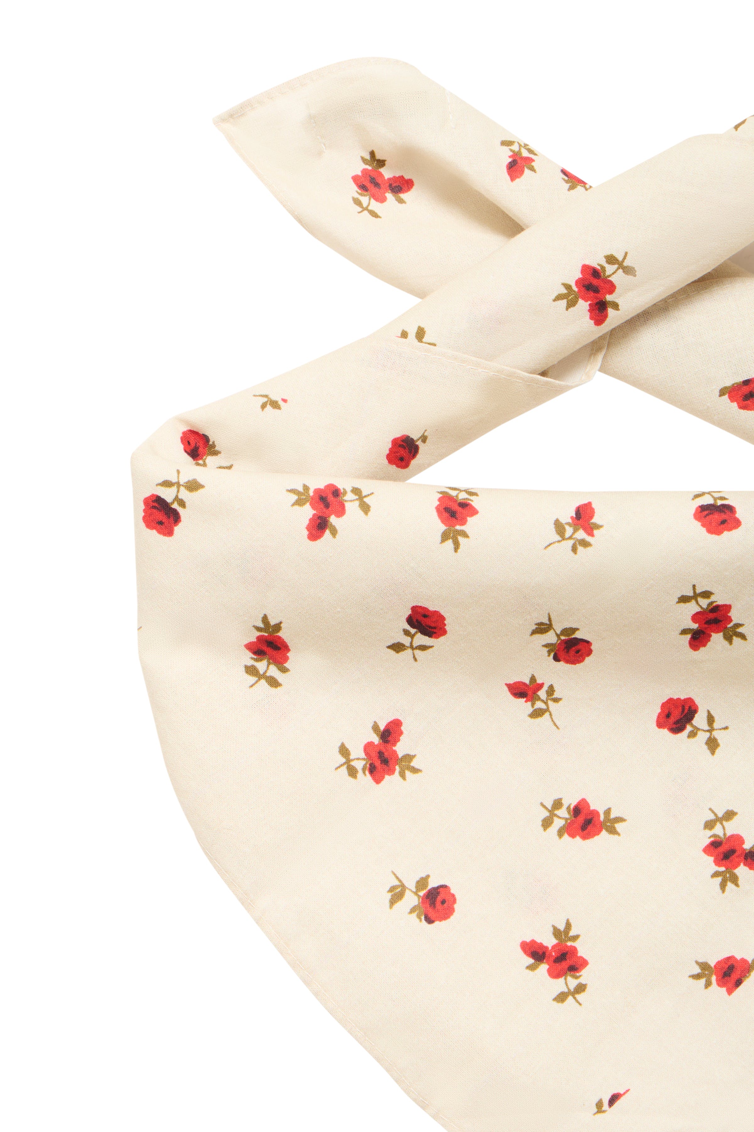 IAROSALINA Scarf PACK DETAIL 20123138-124301