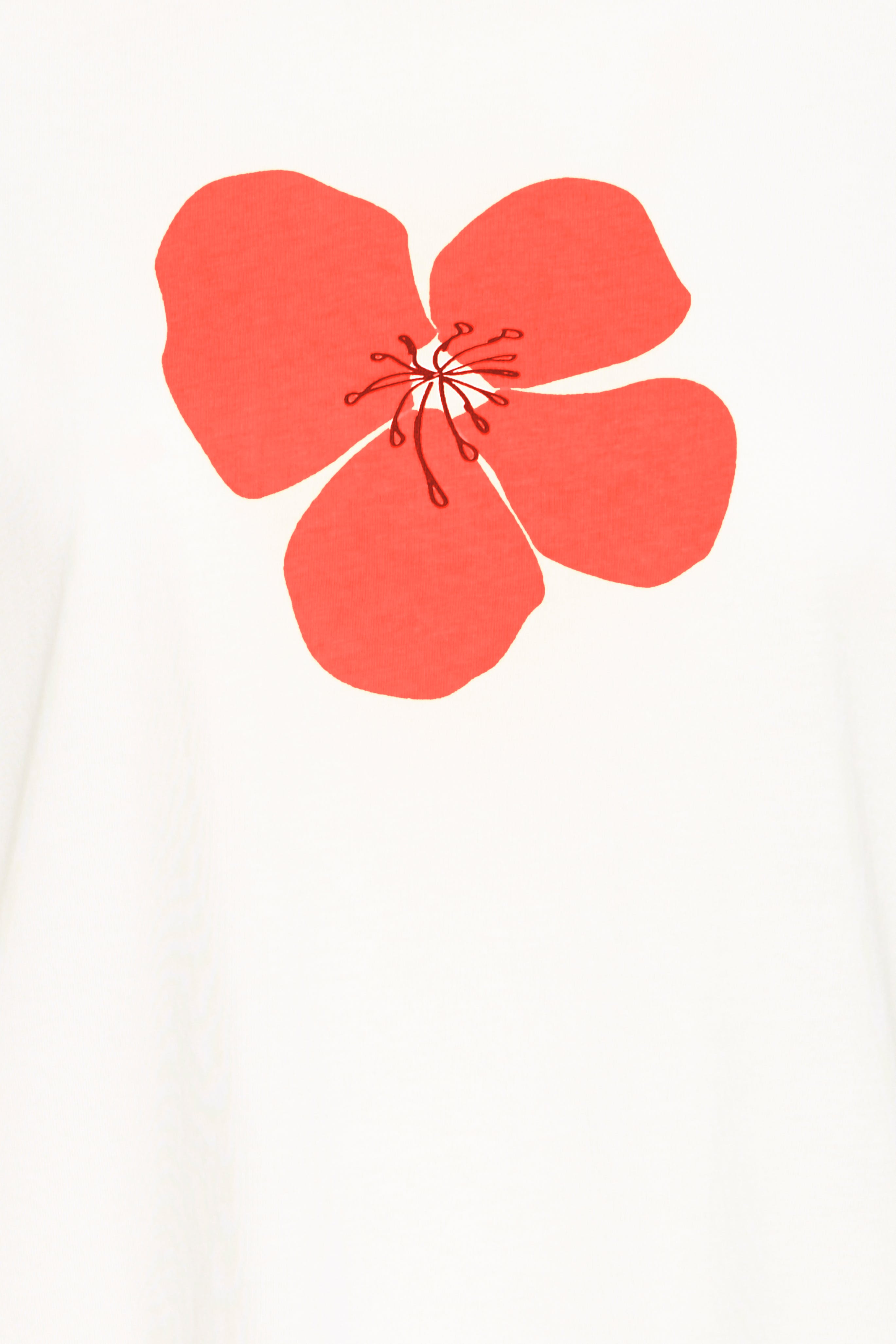 FRMAYRA T-shirt PACK DETAIL 20615724-204746