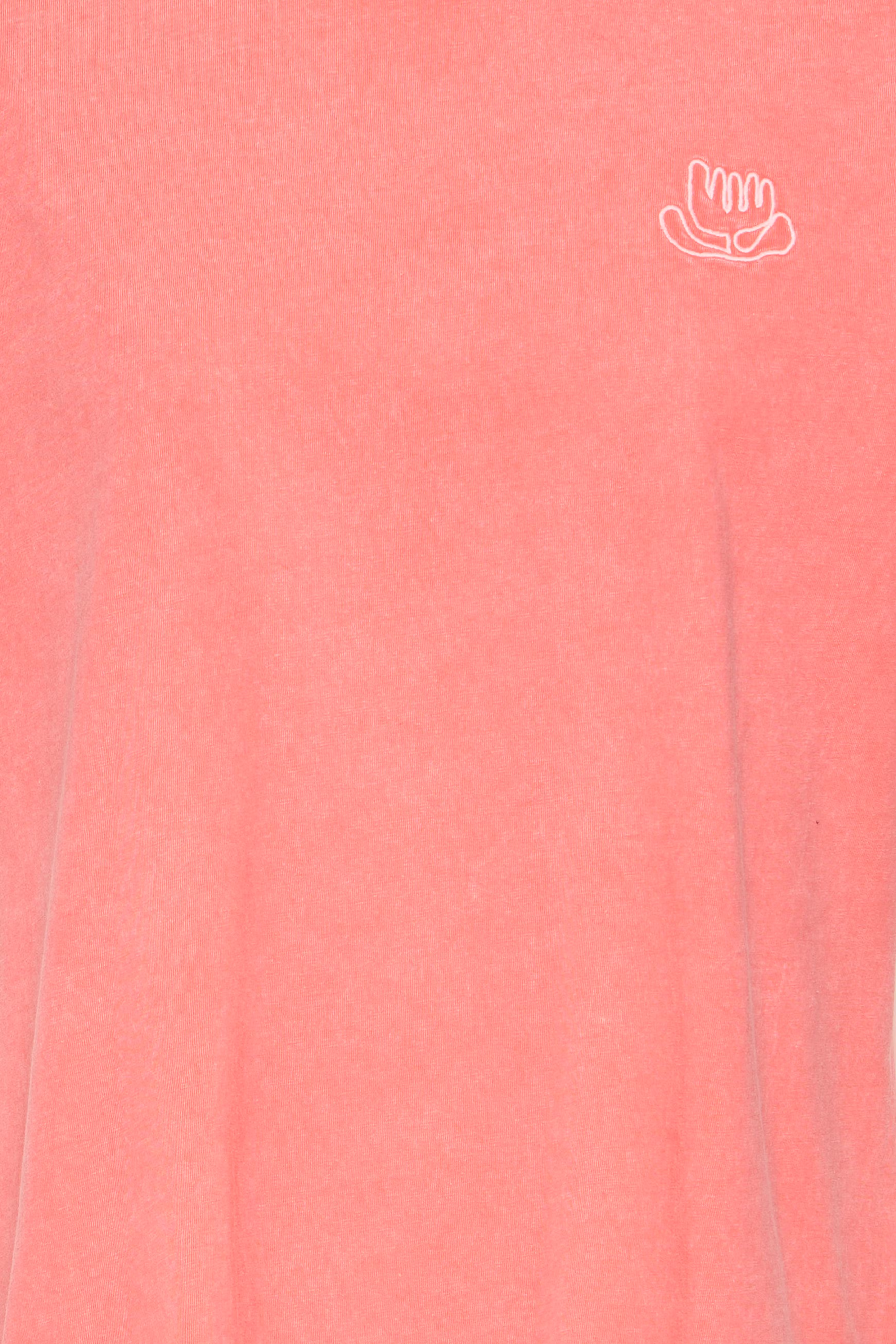 IHNABINO T-shirt PACK DETAIL 20122836-171753