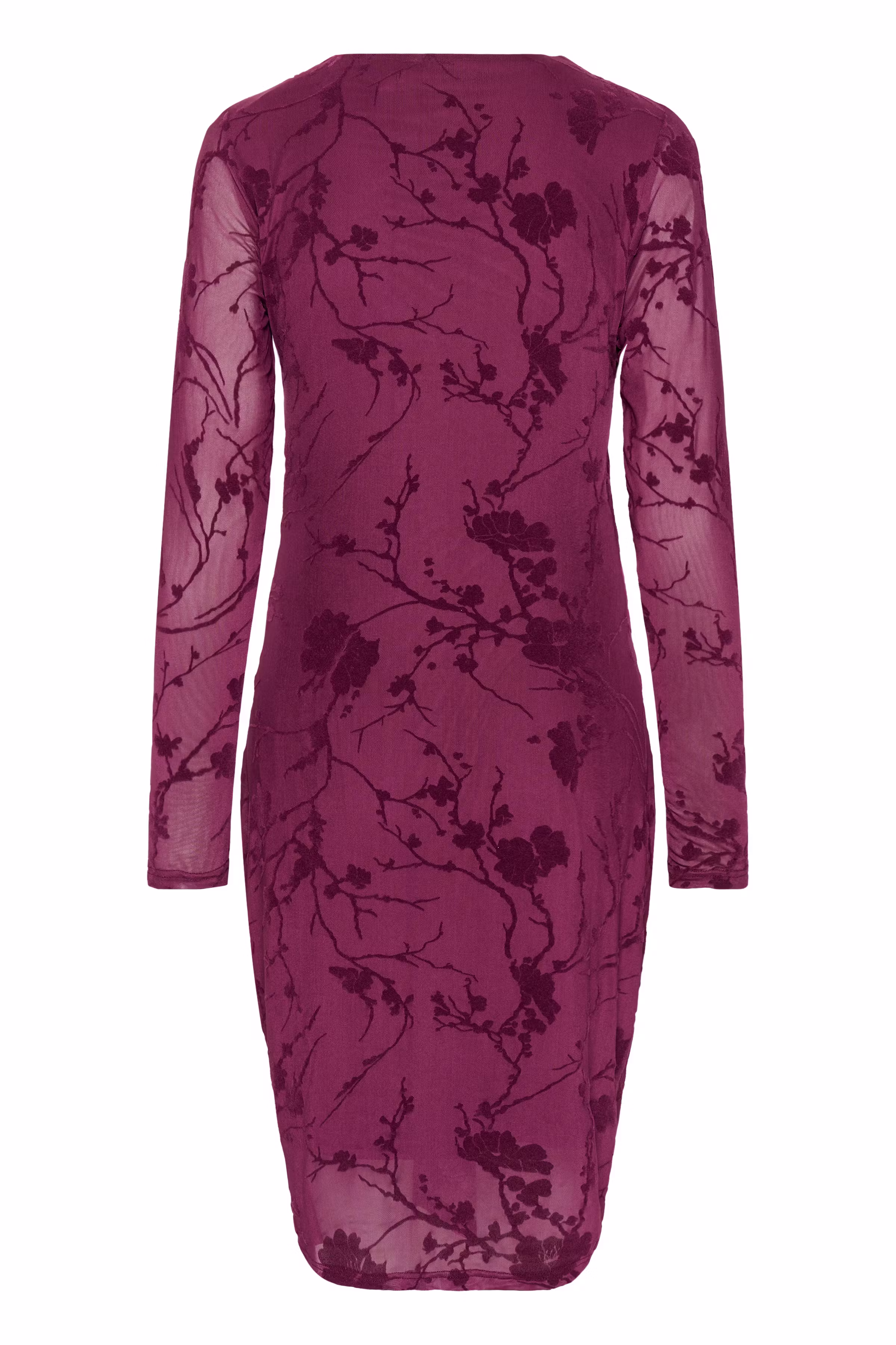 CUpalida Dress PACK BACK 50112458-192118