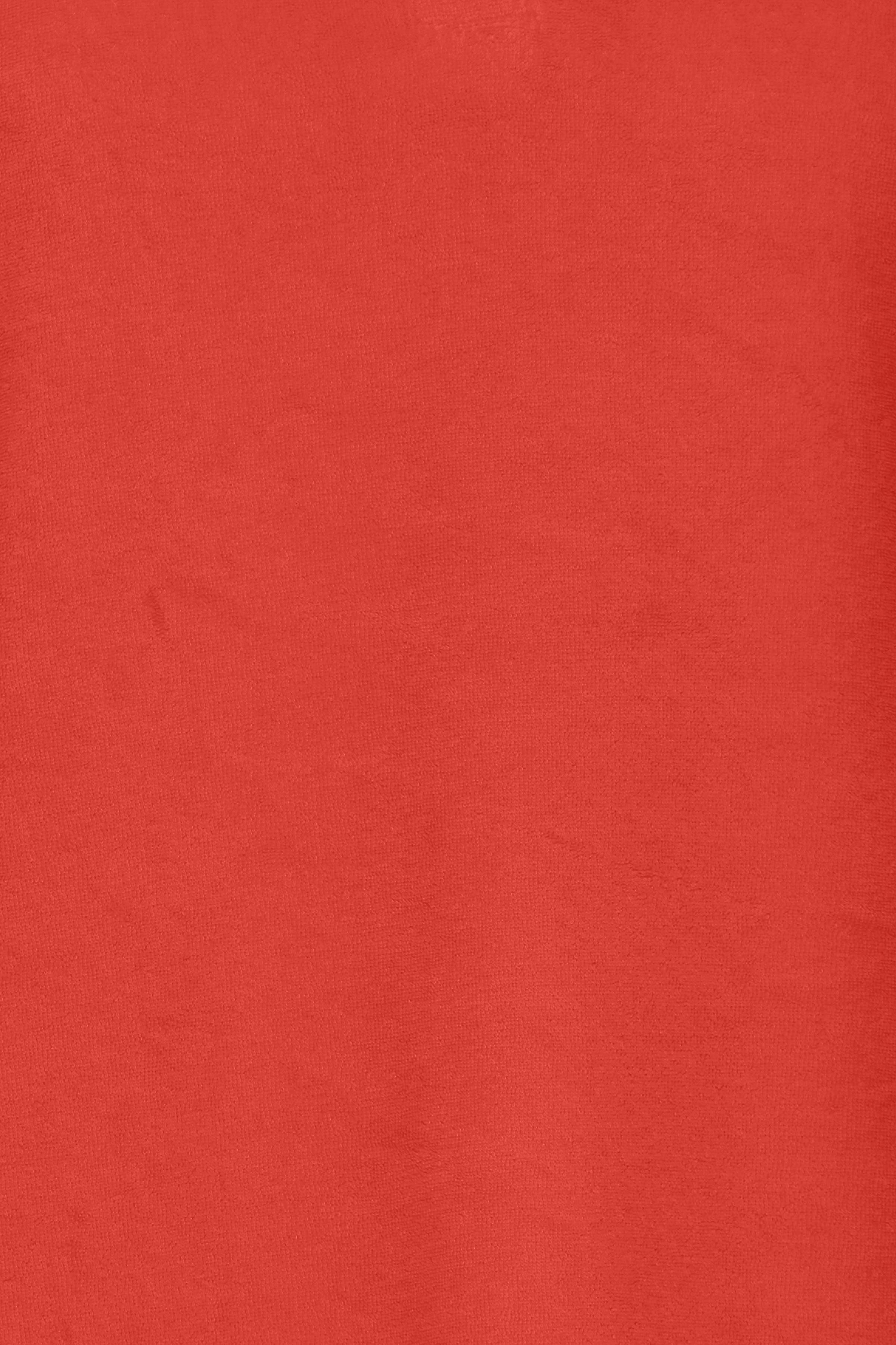 FRTERRA Shirt PACK DETAIL 20615773-181651