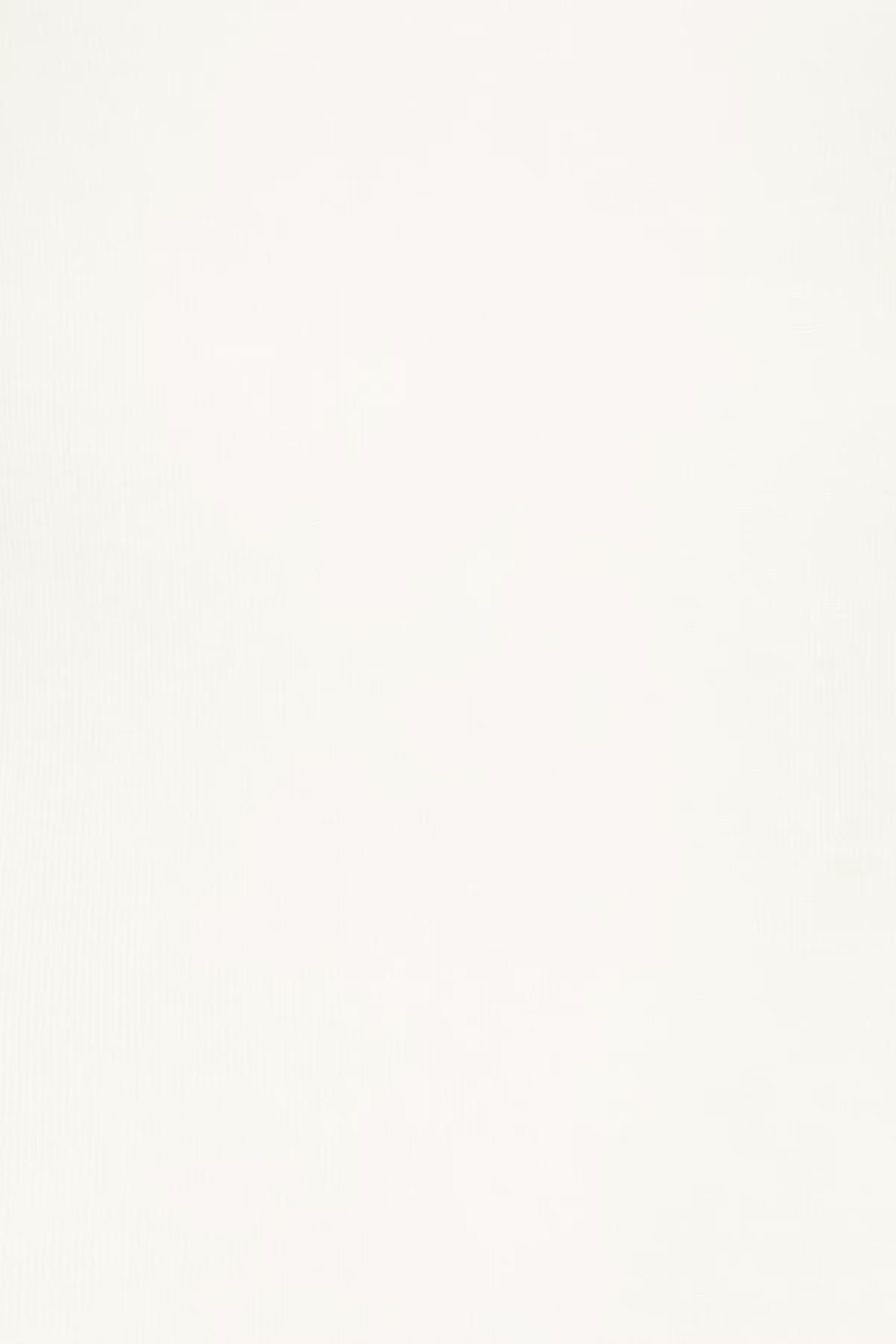 FRSOFFI T-shirt PACK DETAIL 20615094-110602