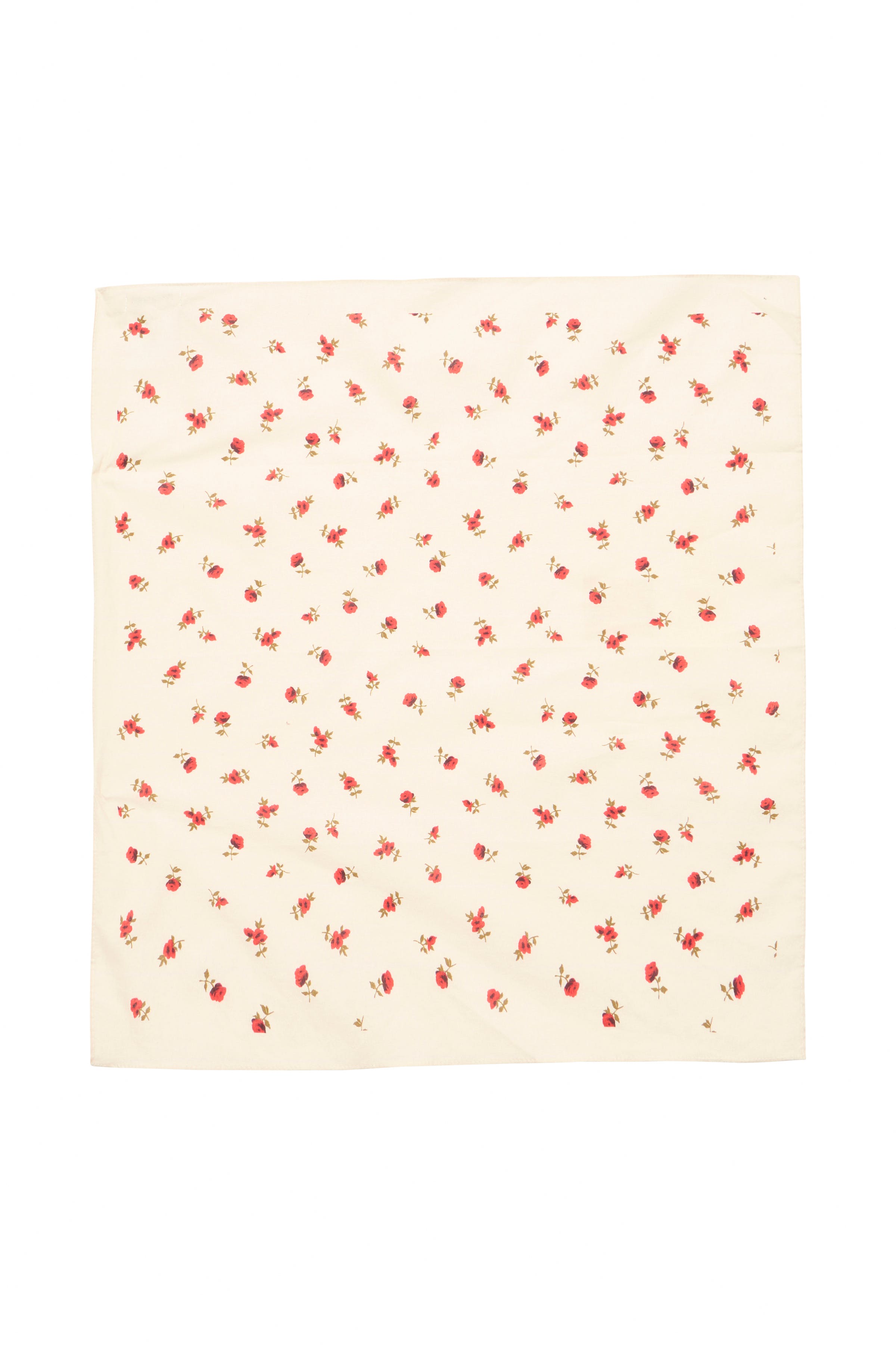 IAROSALINA Scarf PACK DETAIL 20123138-124301