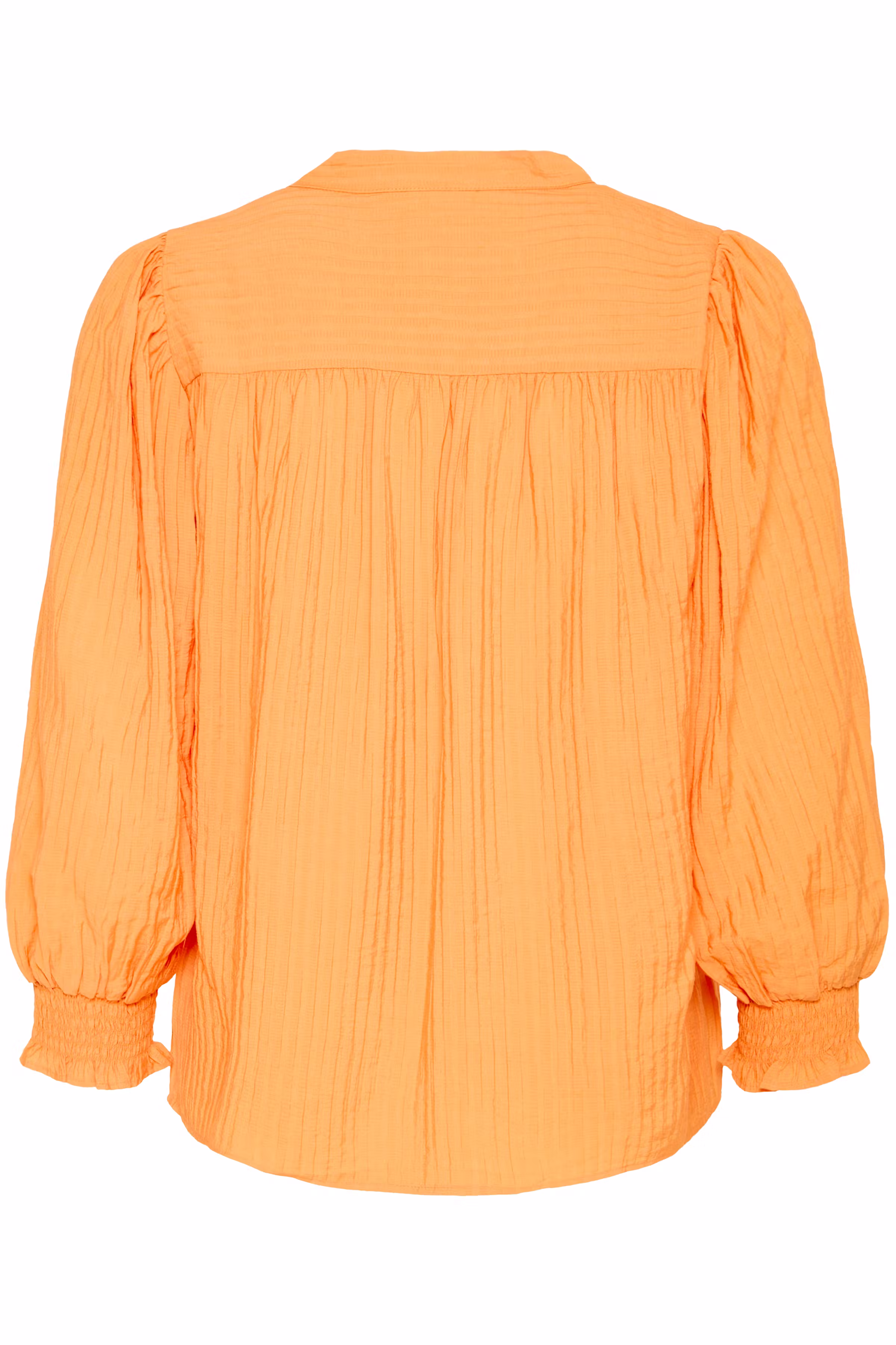 PZISABELLE Bluse PACK BACK 50208755-161142