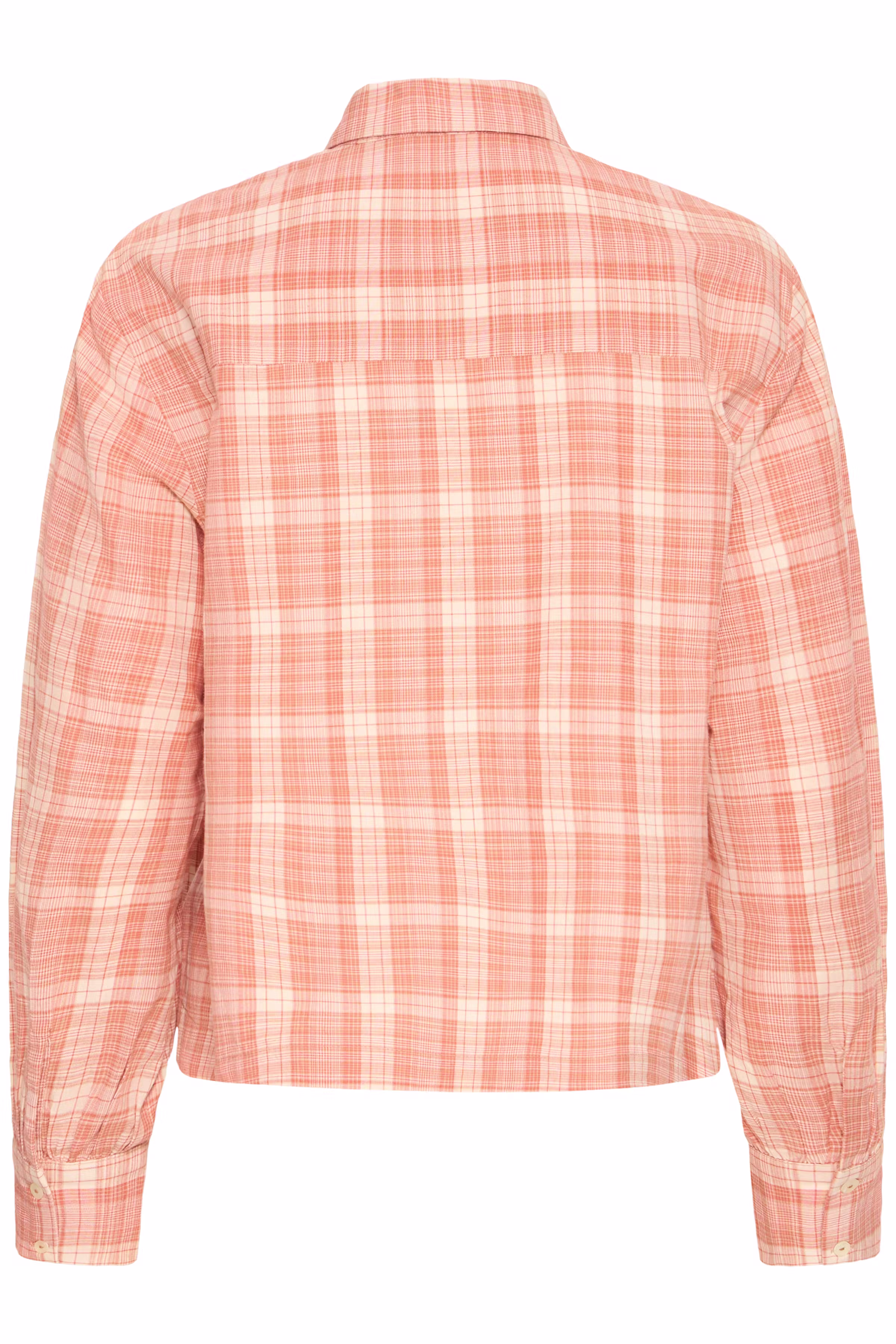 IHCIRA Bluse PACK BACK 20125094-900003422