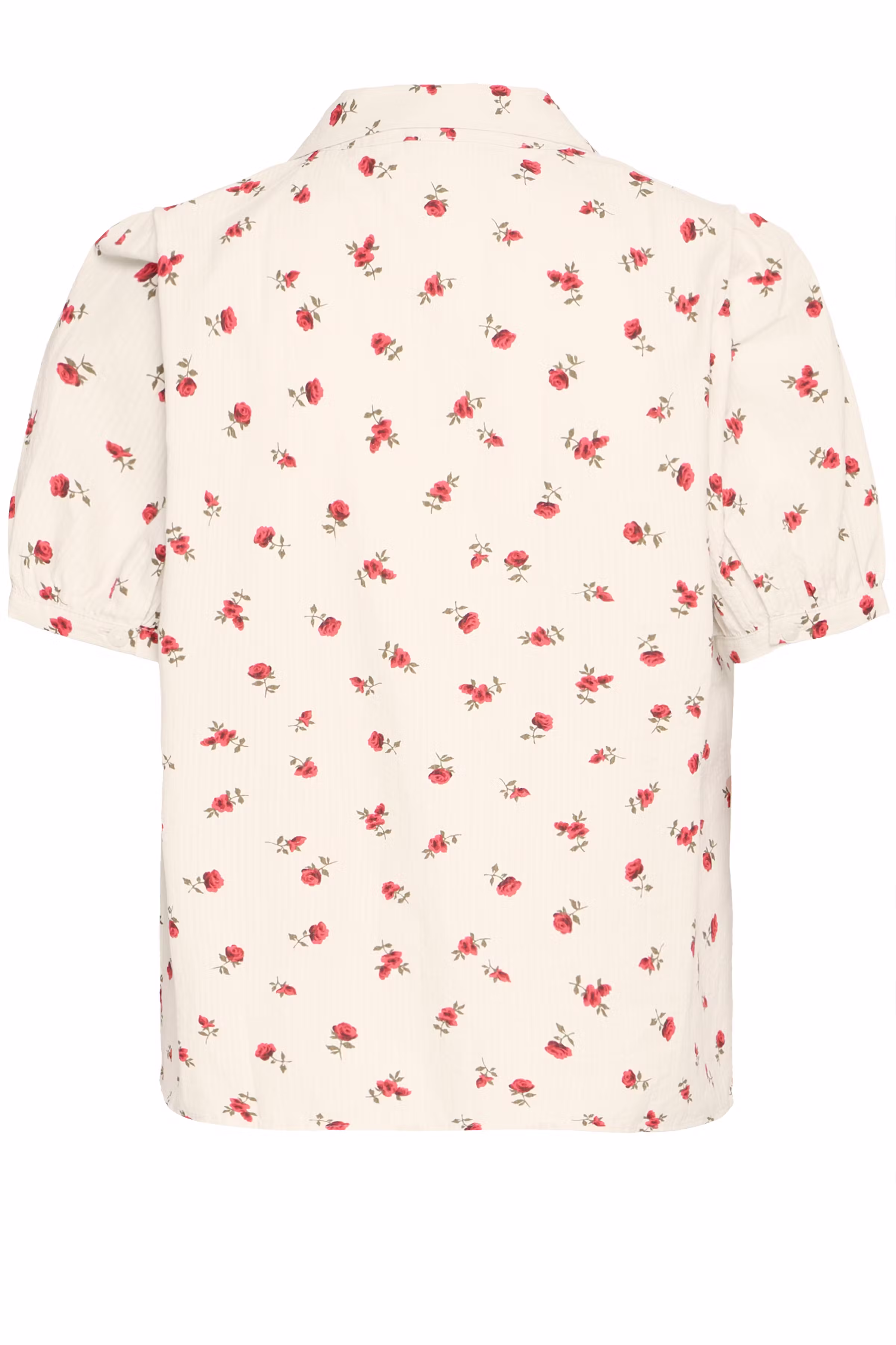 IHROSEY Kortermet skjorte PACK BACK 20122938-204434