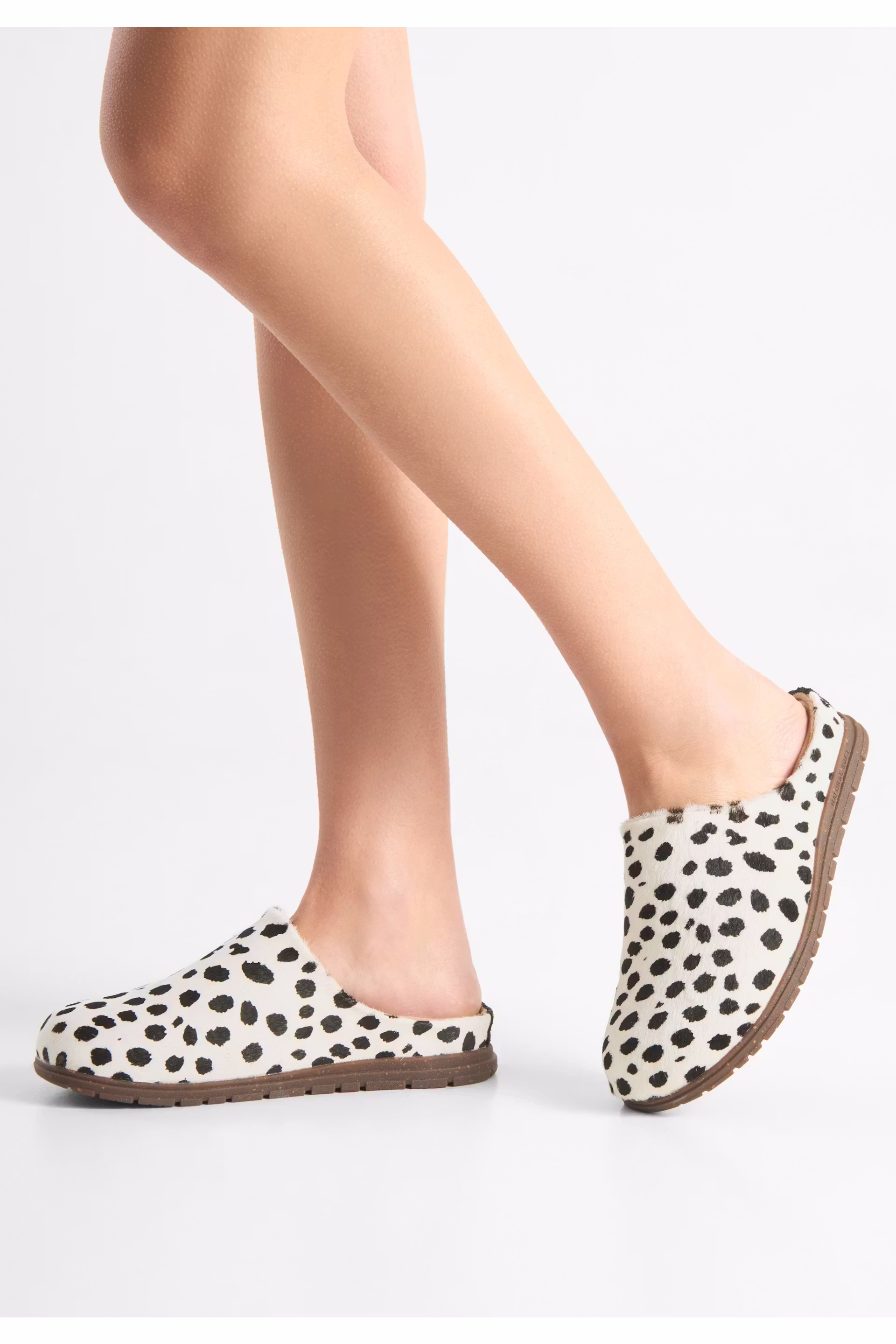 SilviAnimal Shoe LOOKBOOK FRONT 40551682-400899