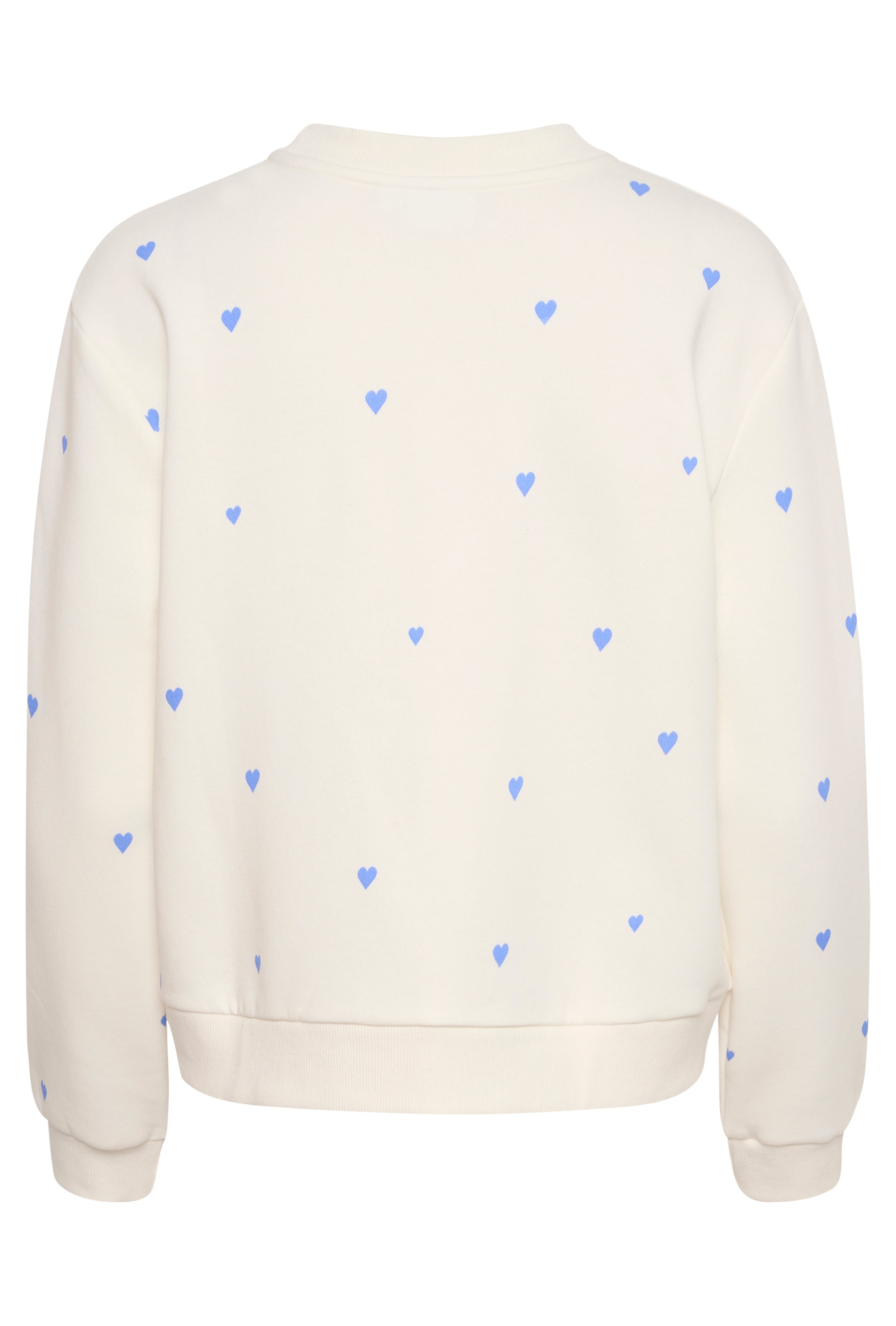 DagnaSZ Sweatshirt PACK BACK 30513176-302733