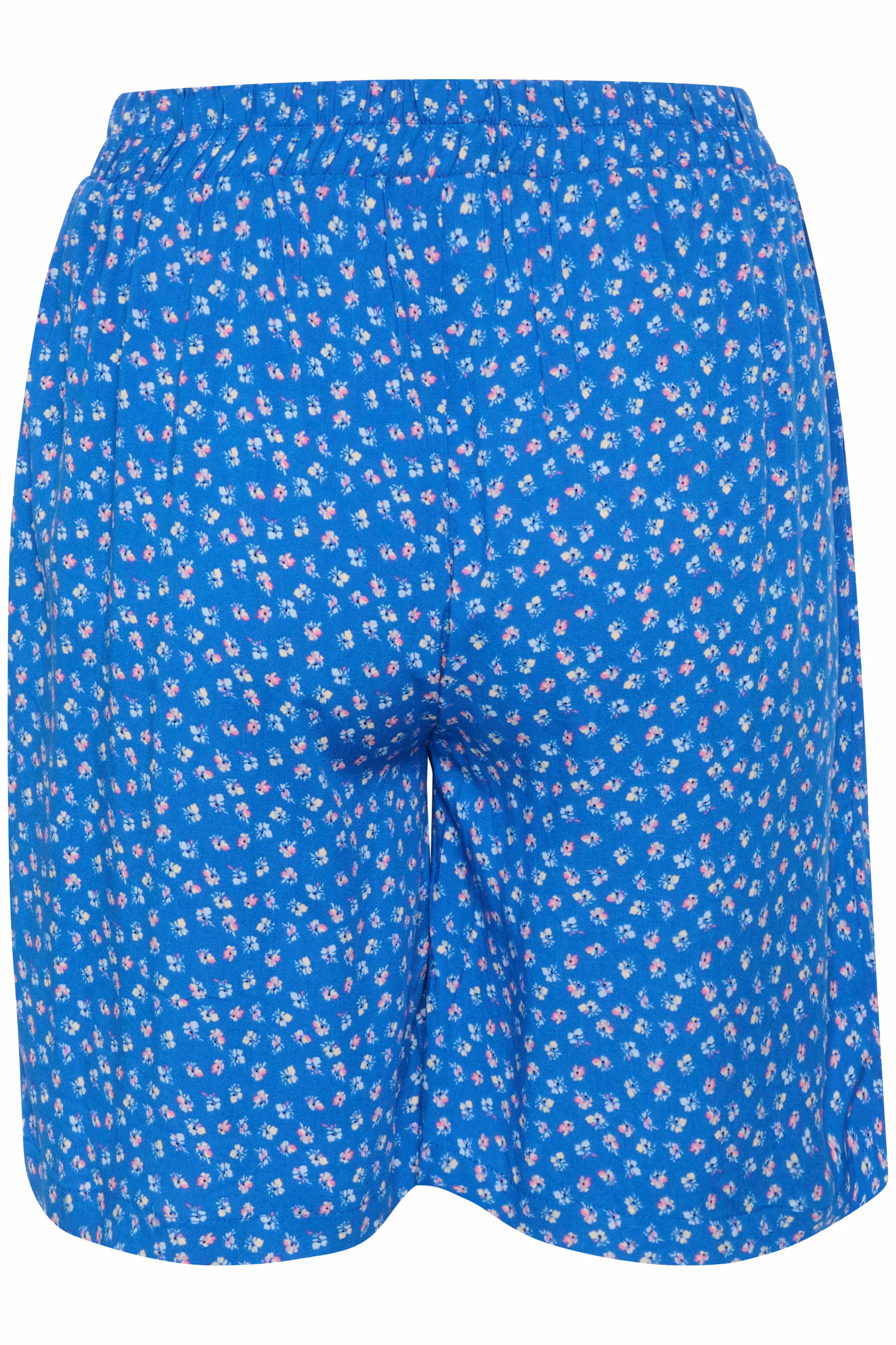 EduaSZ Shorts PACK BACK 30513414-303008