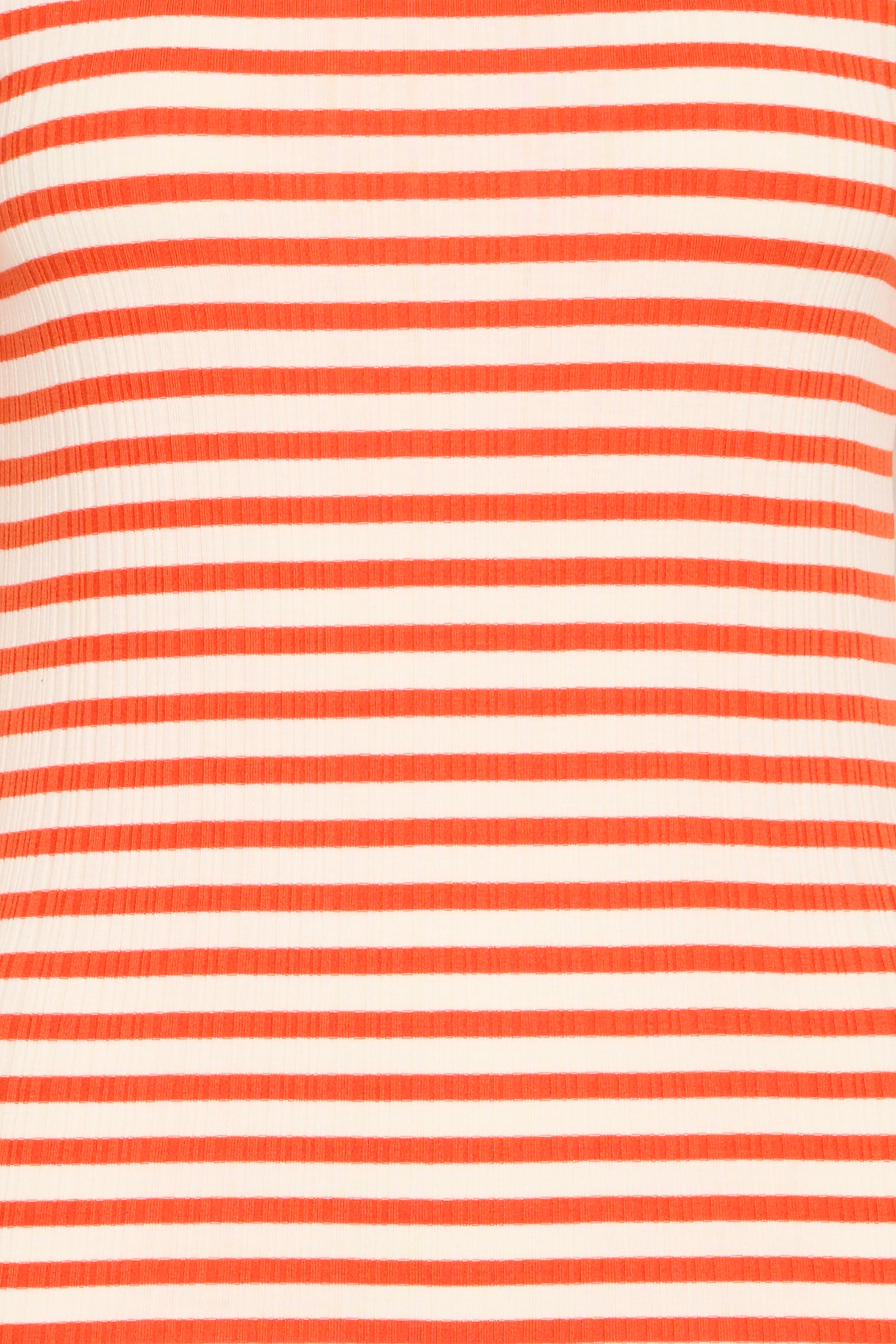 IHCELLA T-shirt PACK DETAIL 20122818-204773