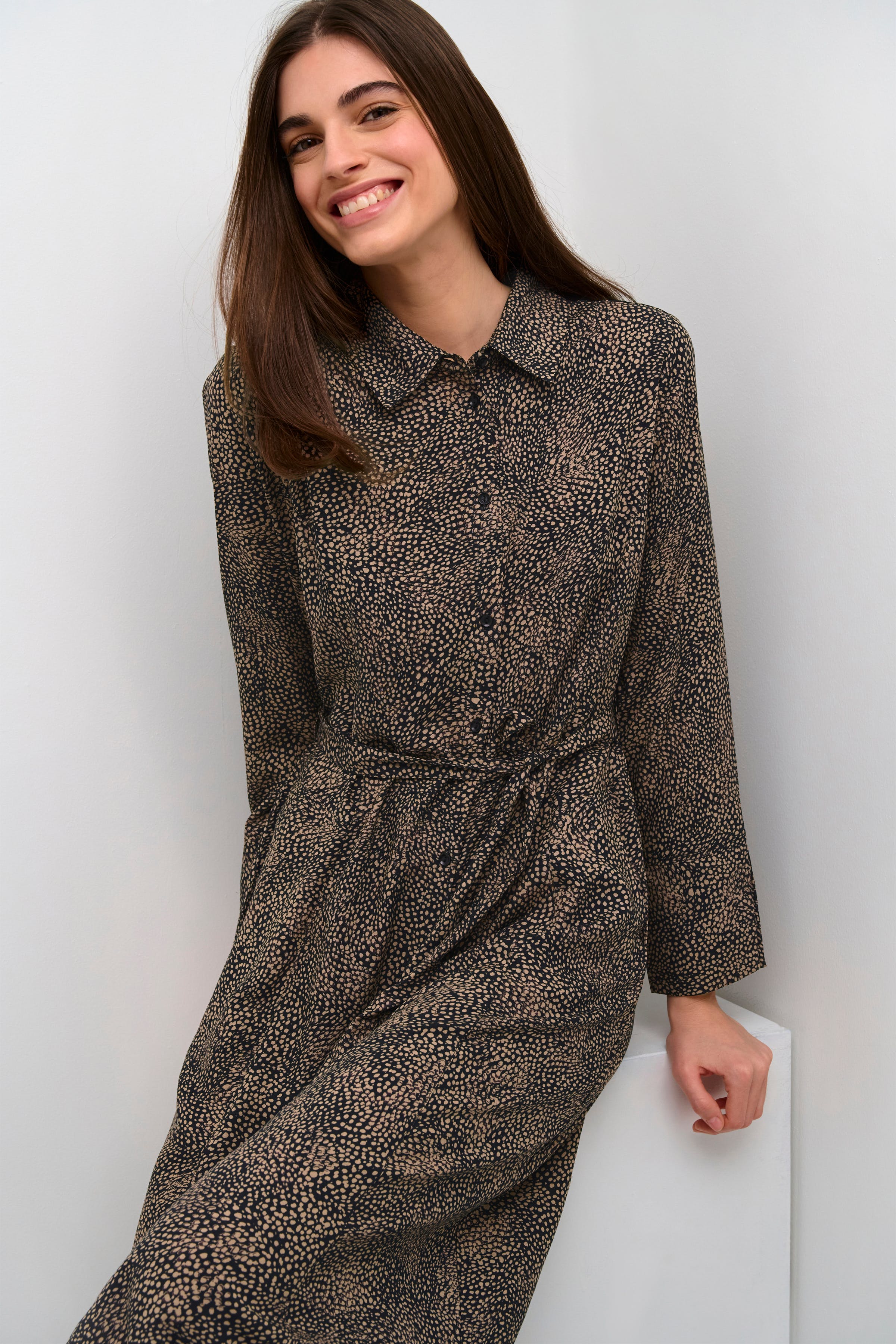 CRTiah Dress LOOKBOOK DETAIL 10611683-106401