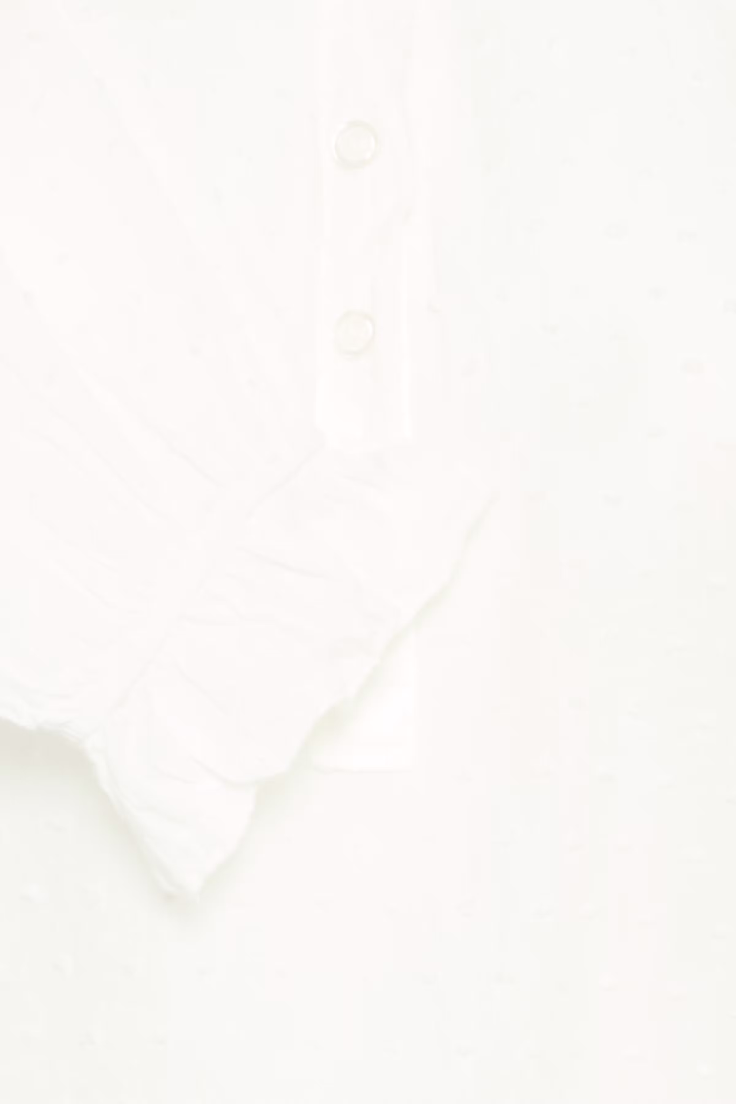 SBBABETT Bluse PACK DETAIL 22100758-110105