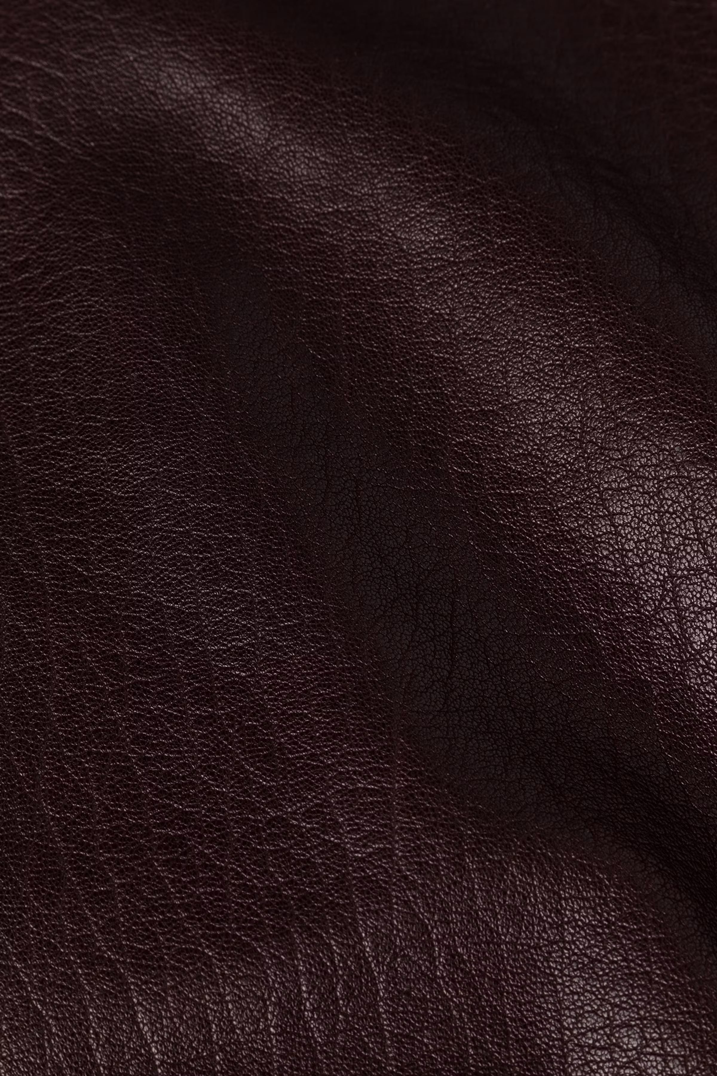 IOLARA Jacket PACK DETAIL 30600687-RE401