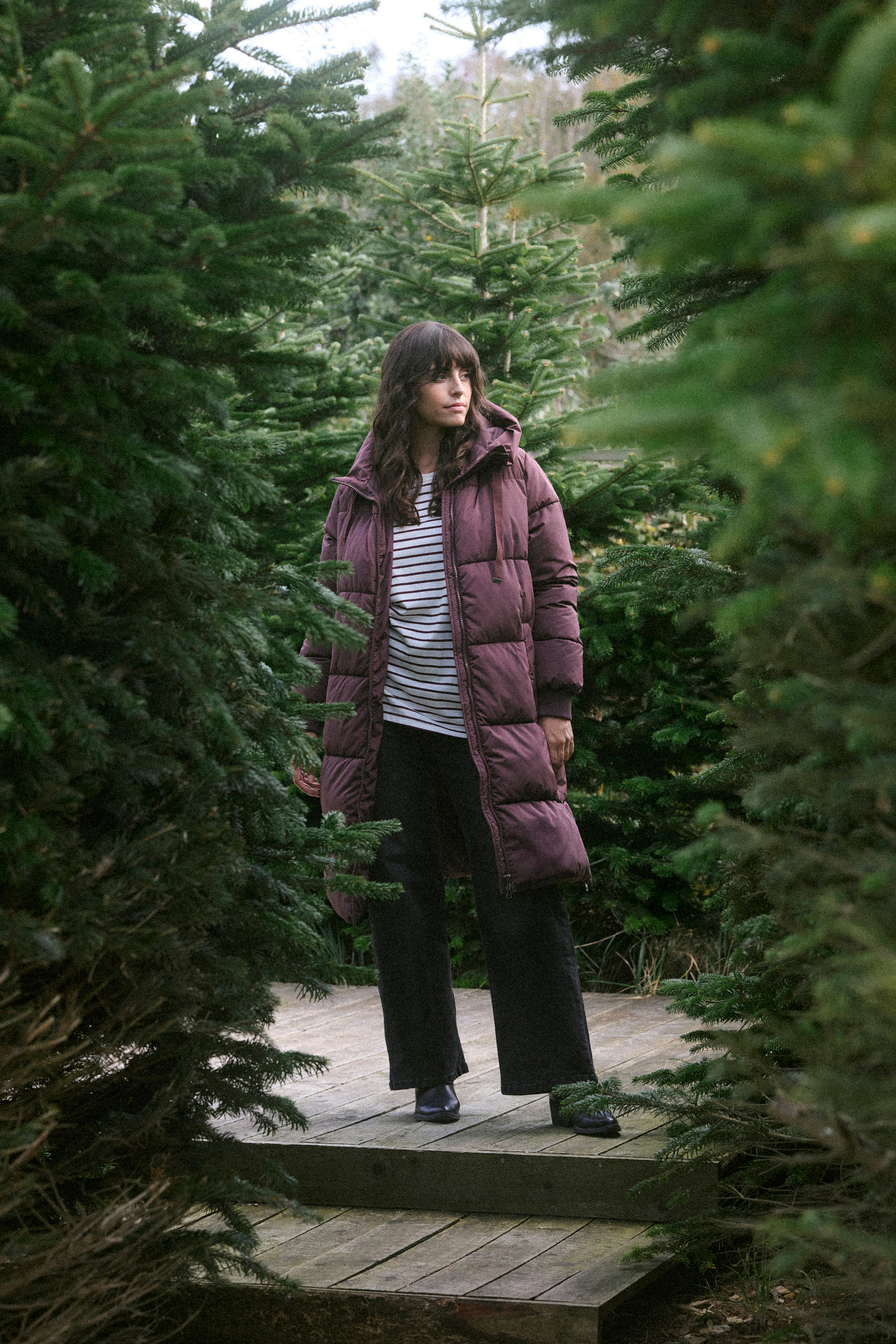 KCniki Mantel LOCATION NONE 10583496-191619