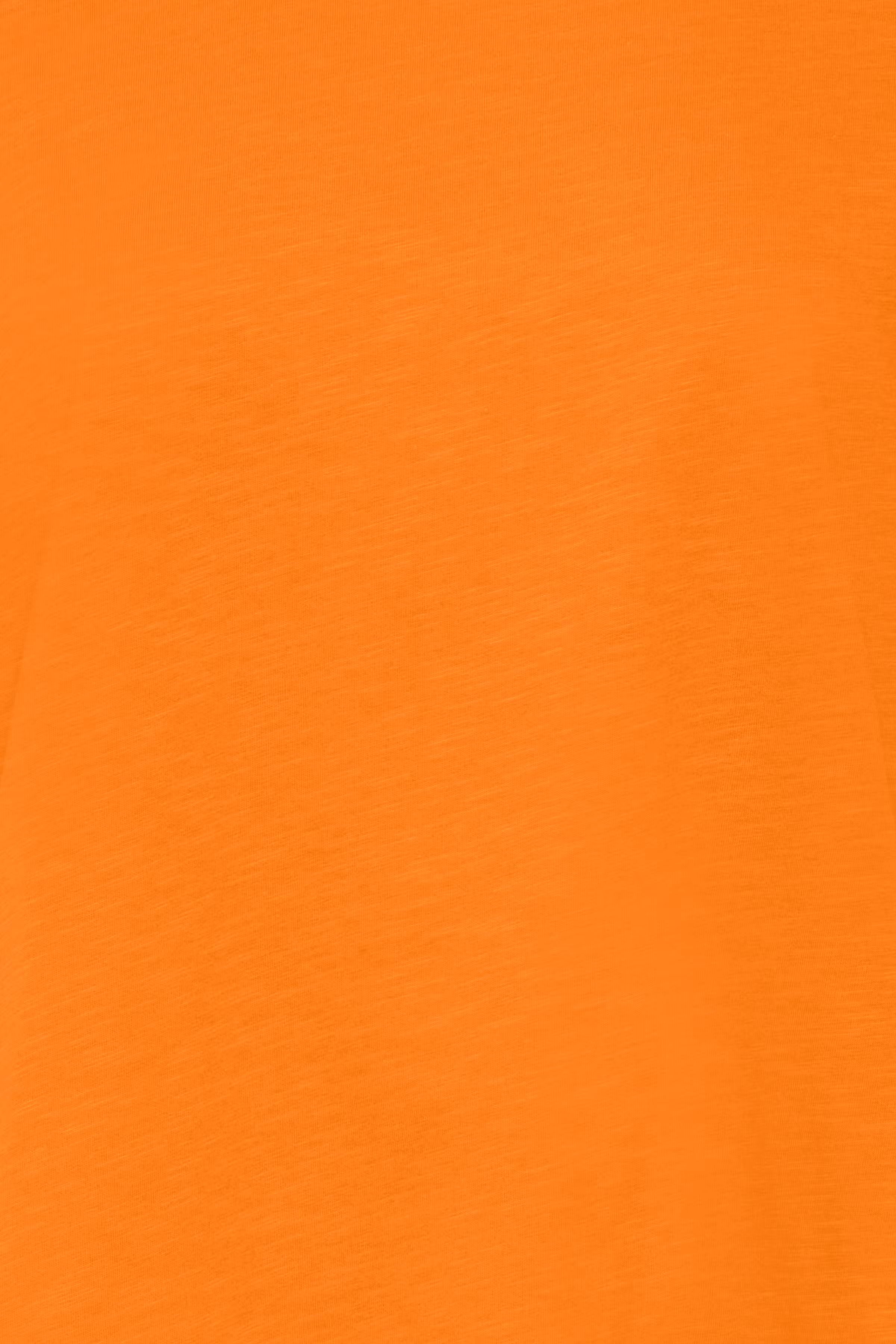 PZBRIT T-shirt PACK DETAIL 50207421-161358