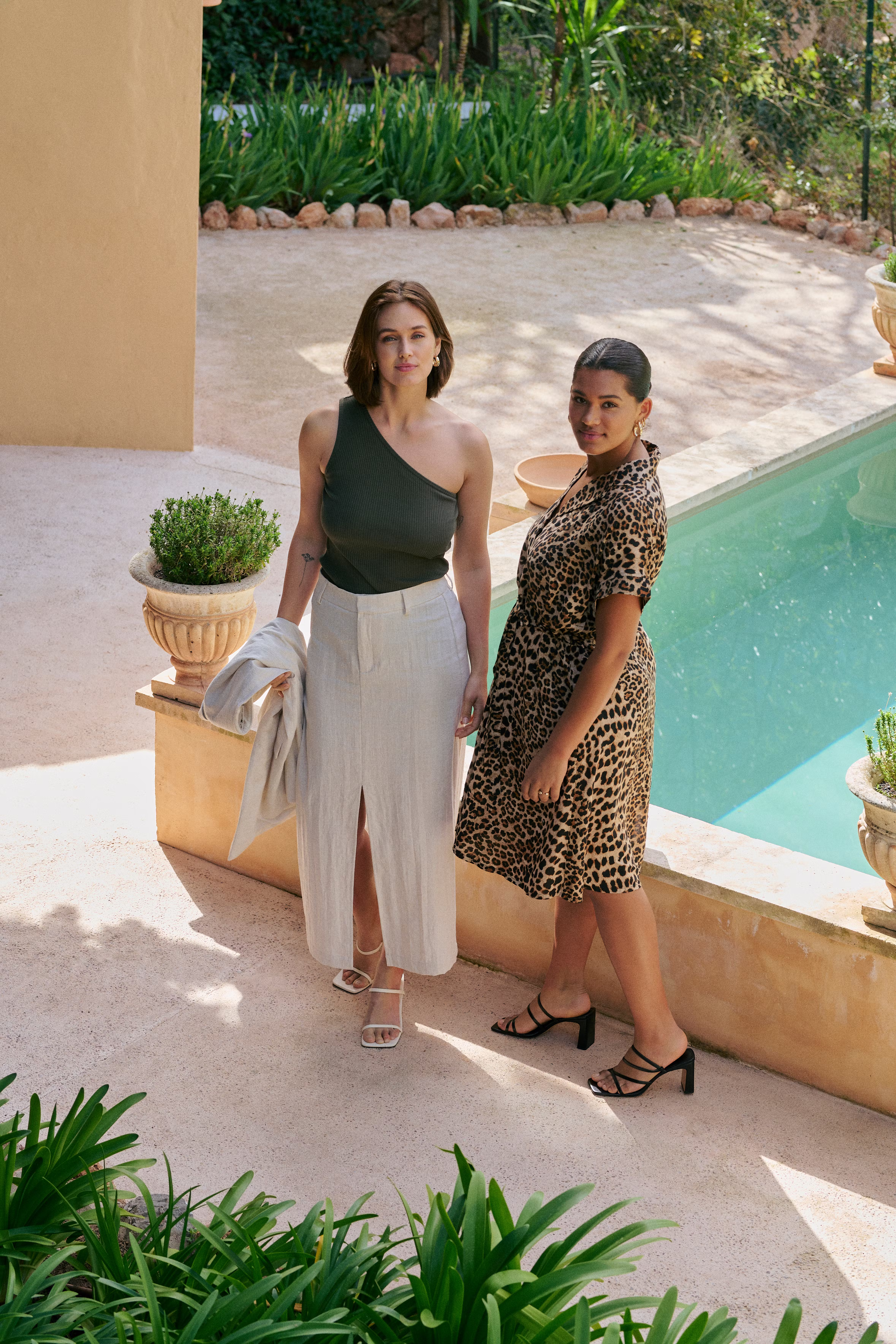 KAdaniella Nederdel LOCATION NONE 10508567-1513051