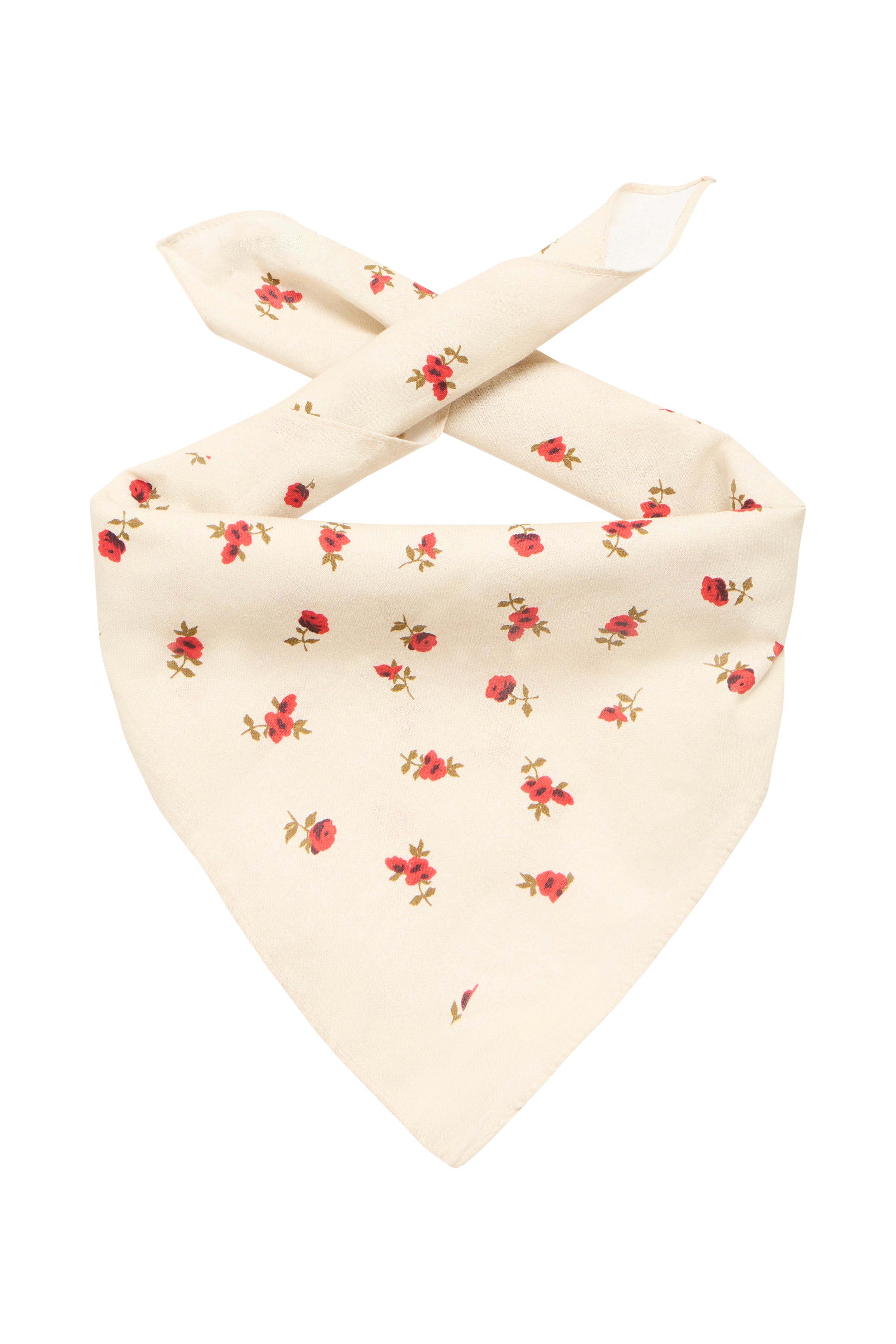 IAROSALINA Tuch PACK FRONT 20123138-124301