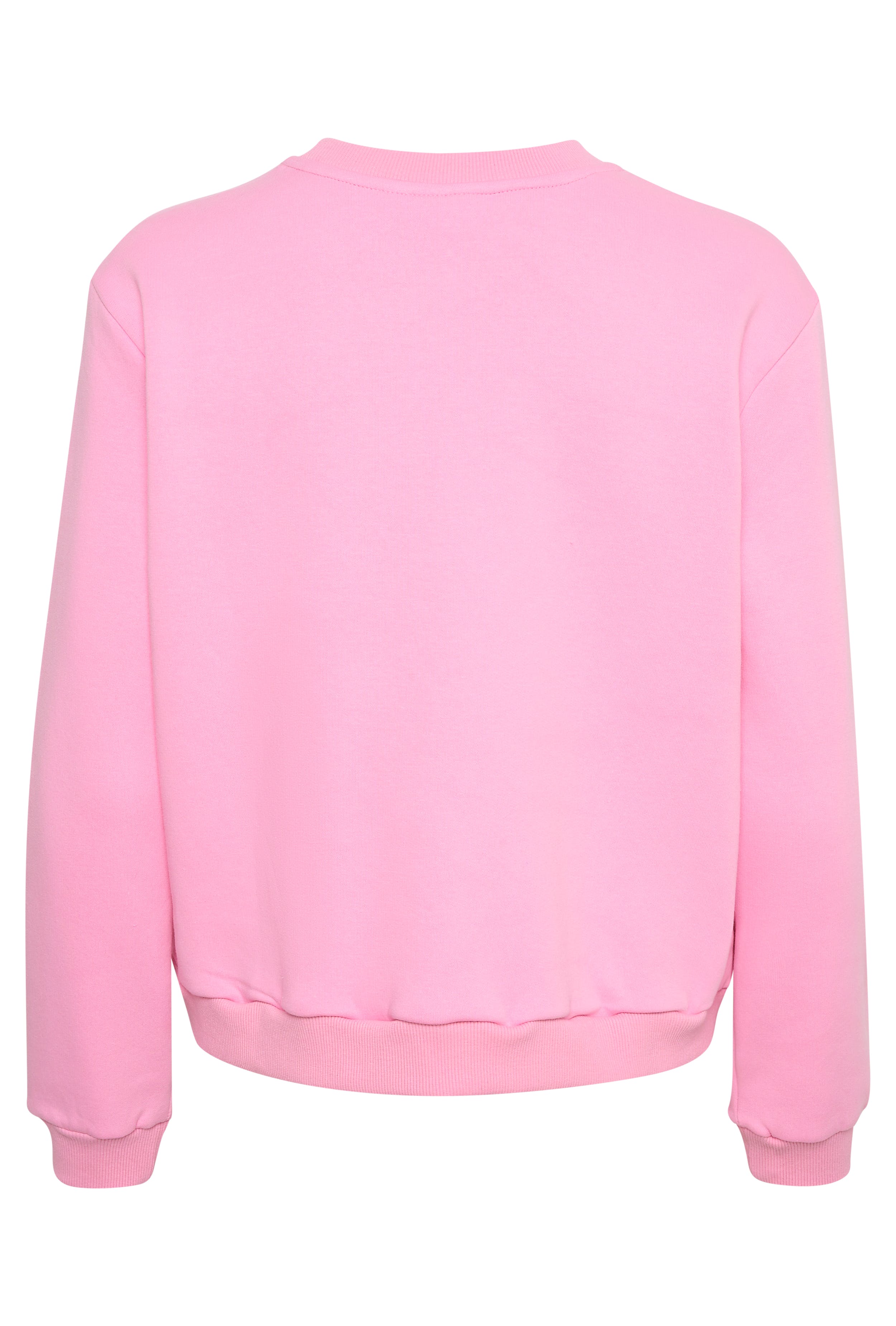 DajlaSZ Sweatshirt PACK BACK 30513174-152213