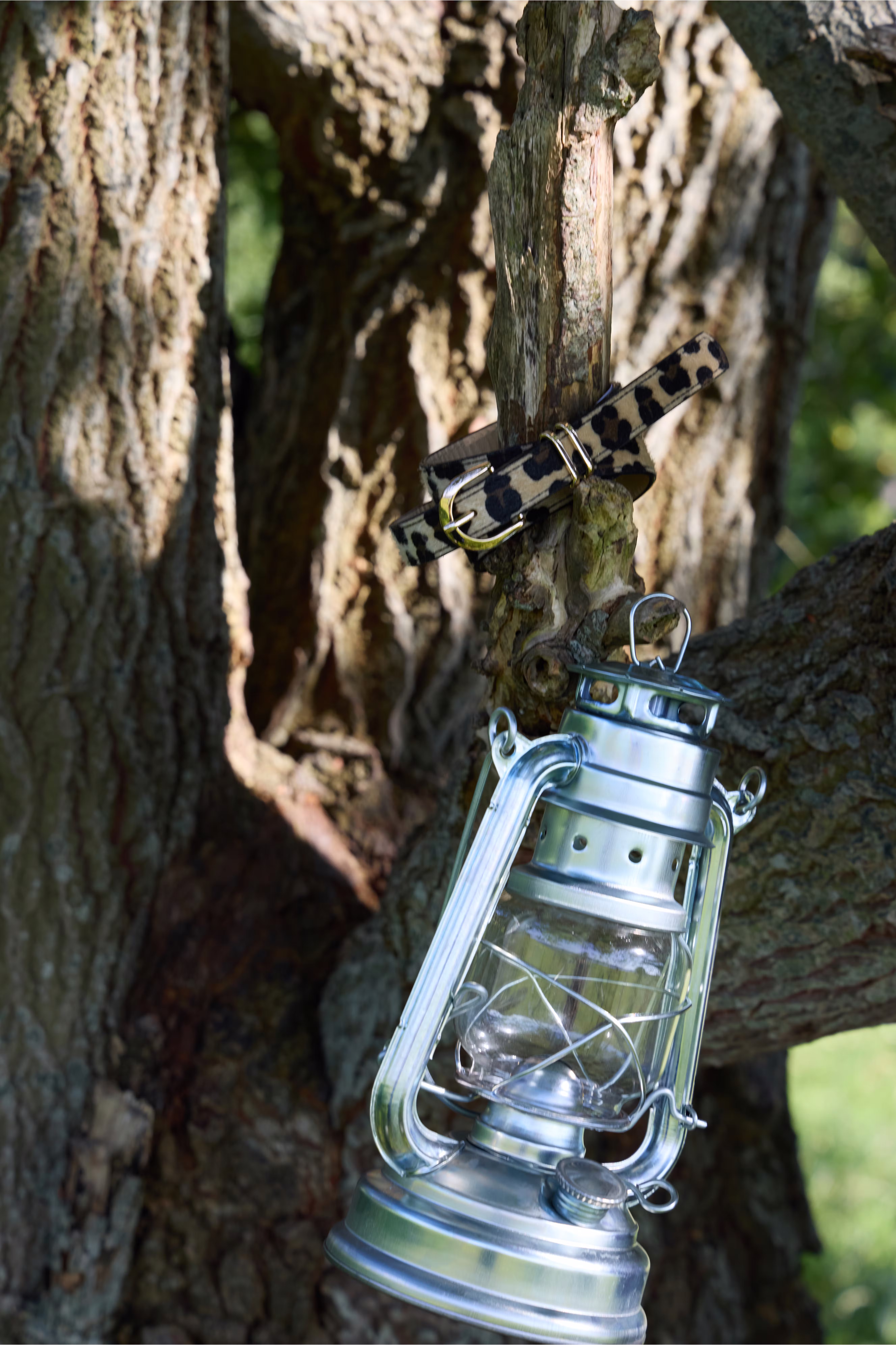 IACONNIE Ceinture LOCATION NONE 20126155-171128