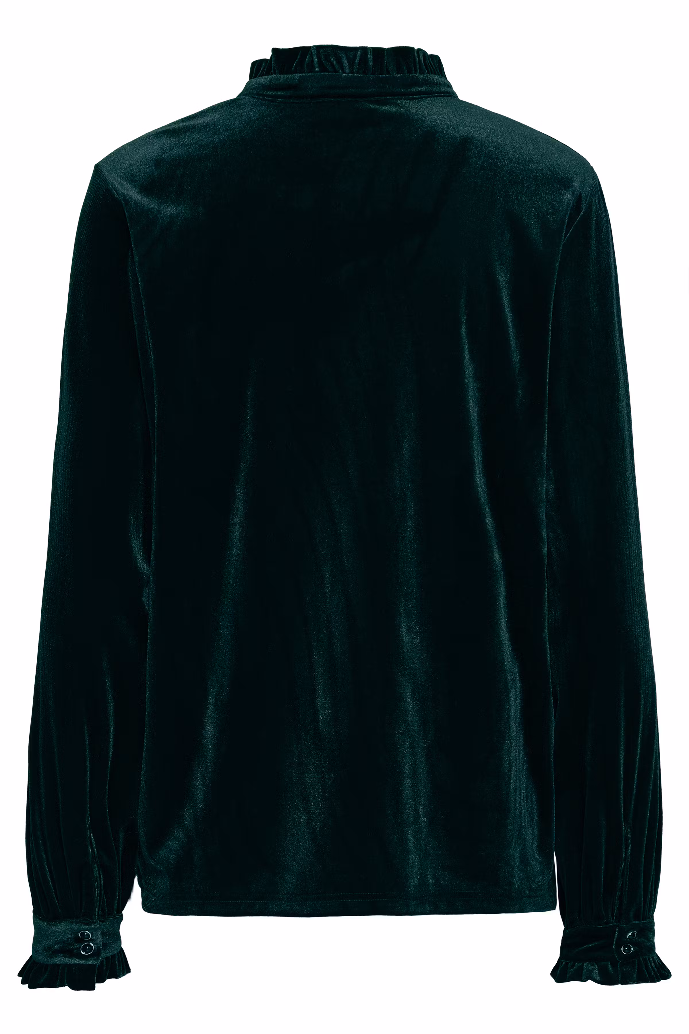PZBARBARA Bluse PACK BACK 50210170-194908