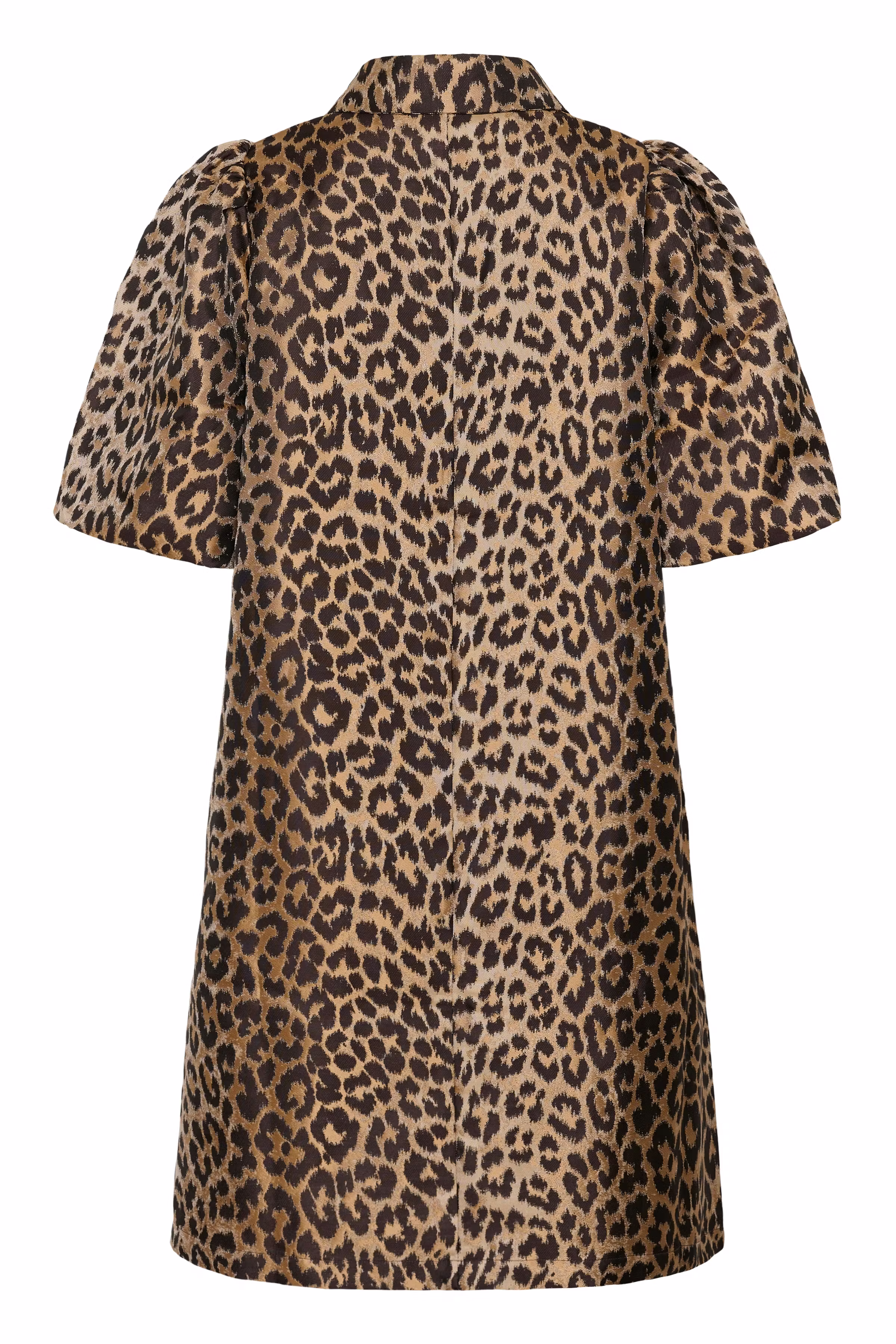 CUcarol Leopardkleid PACK BACK 50112375-107401