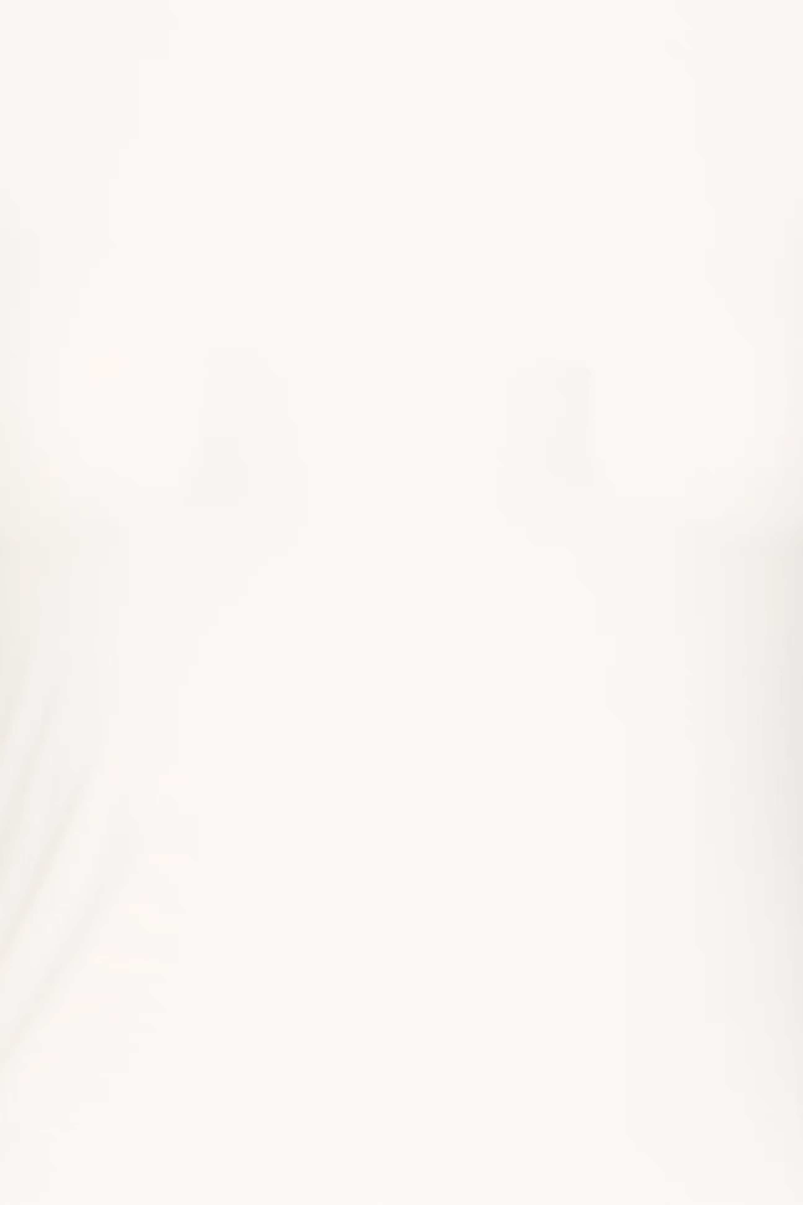 IHESSA T-shirt PACK DETAIL 20124571-114201