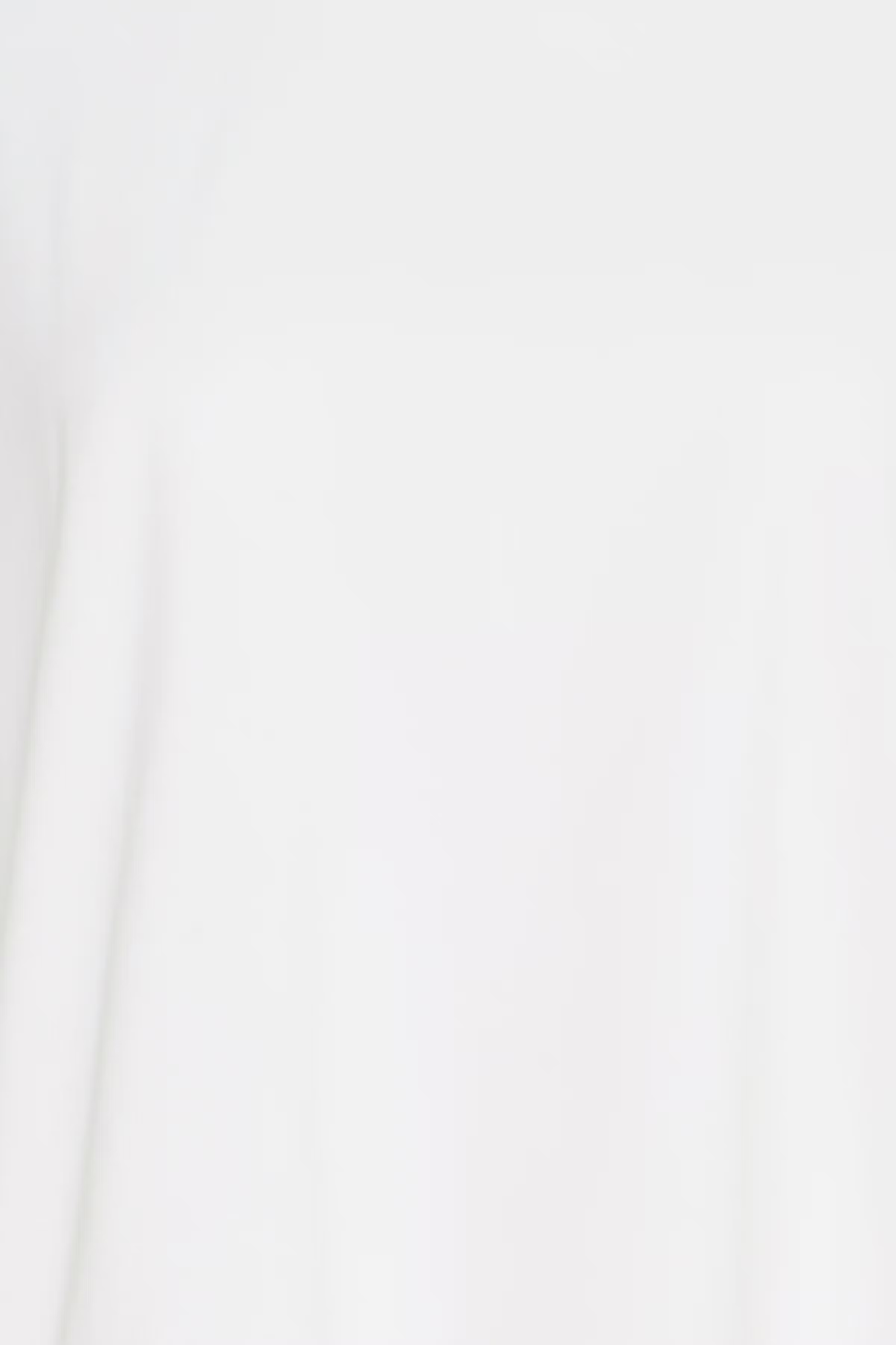 JCSABITA T-shirt PACK DETAIL 22800915-114800