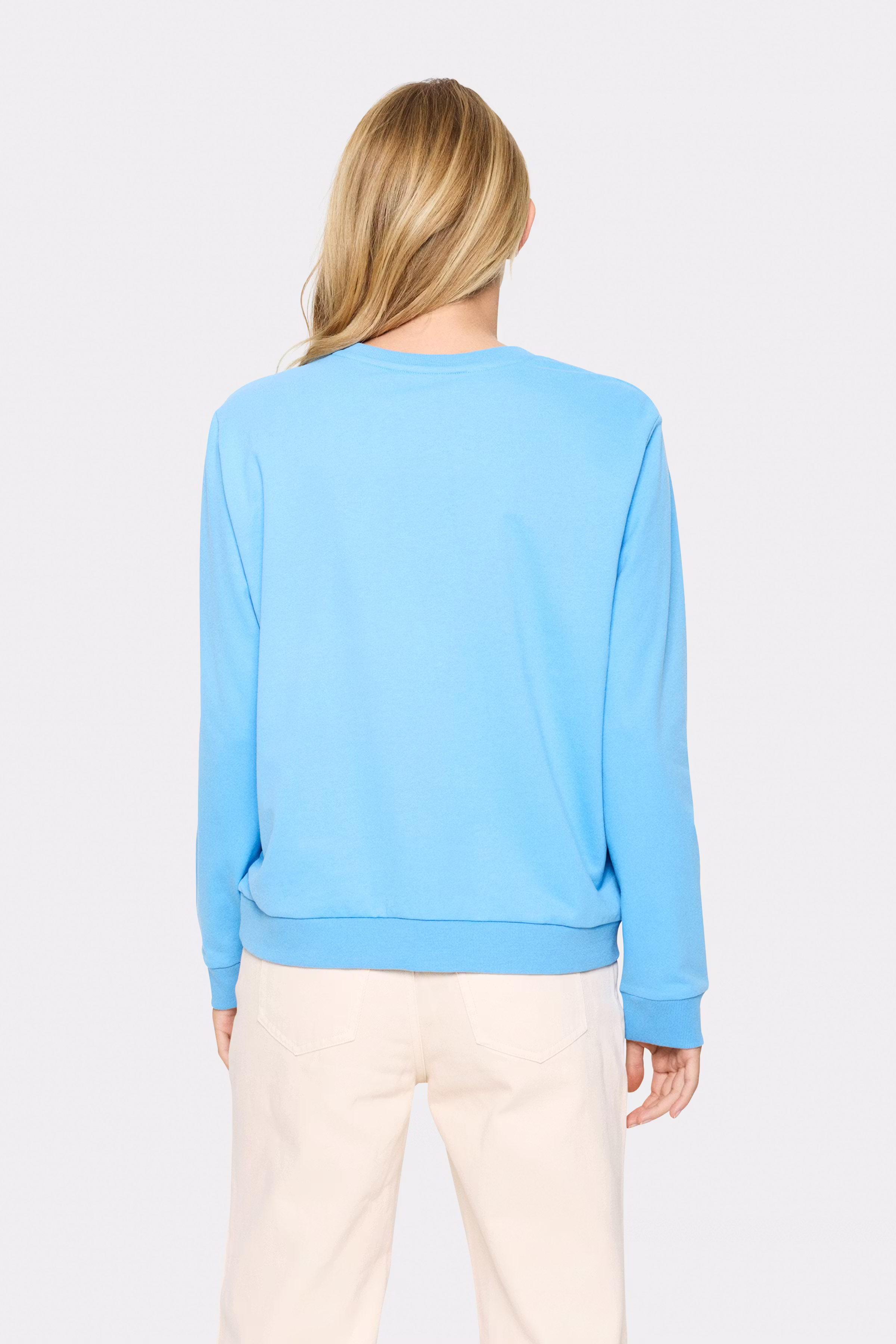 InoSZ Sweatshirt LOOKBOOK BACK 30513756-174140