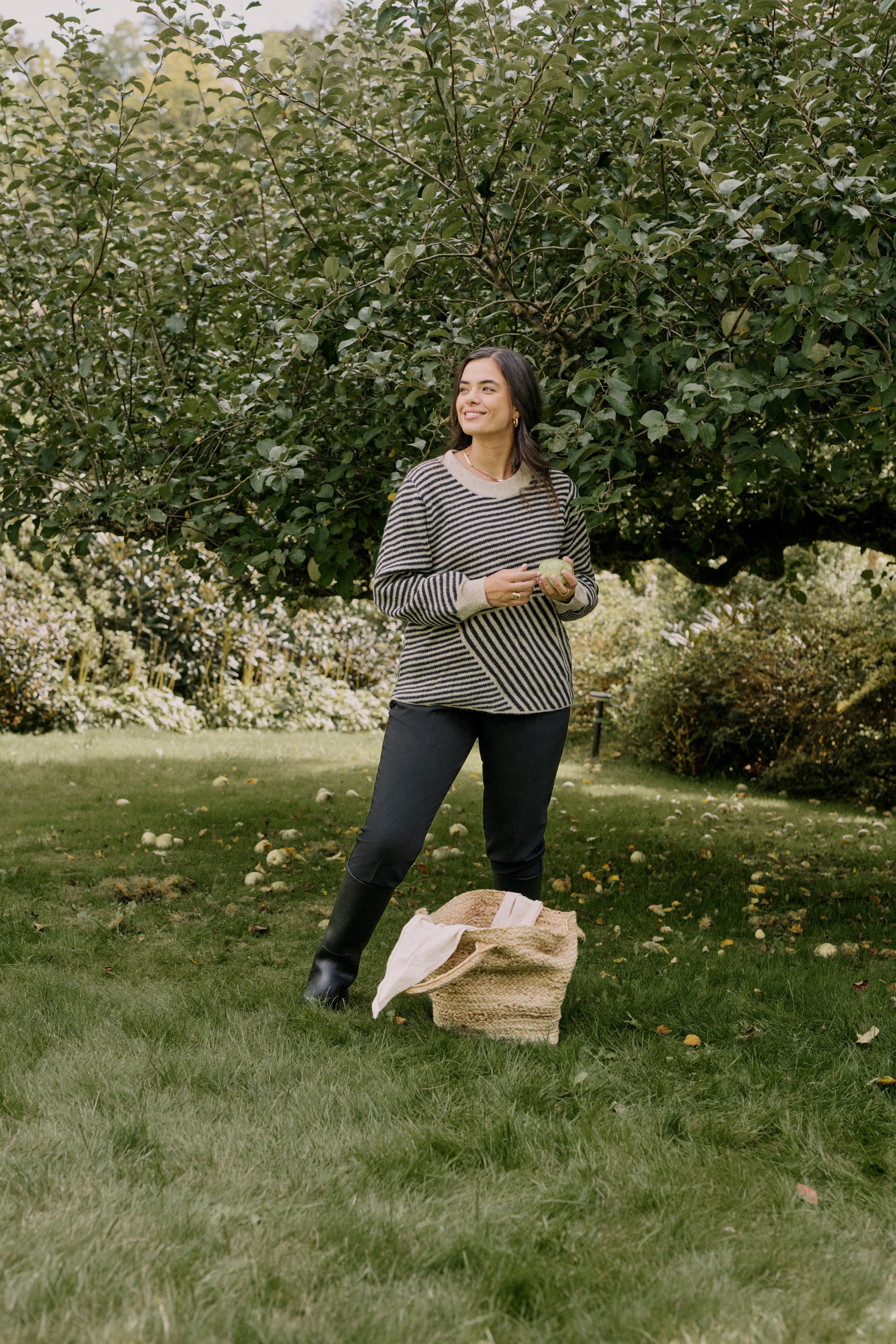 KCverina Pullover LOCATION NONE 10582595-106339