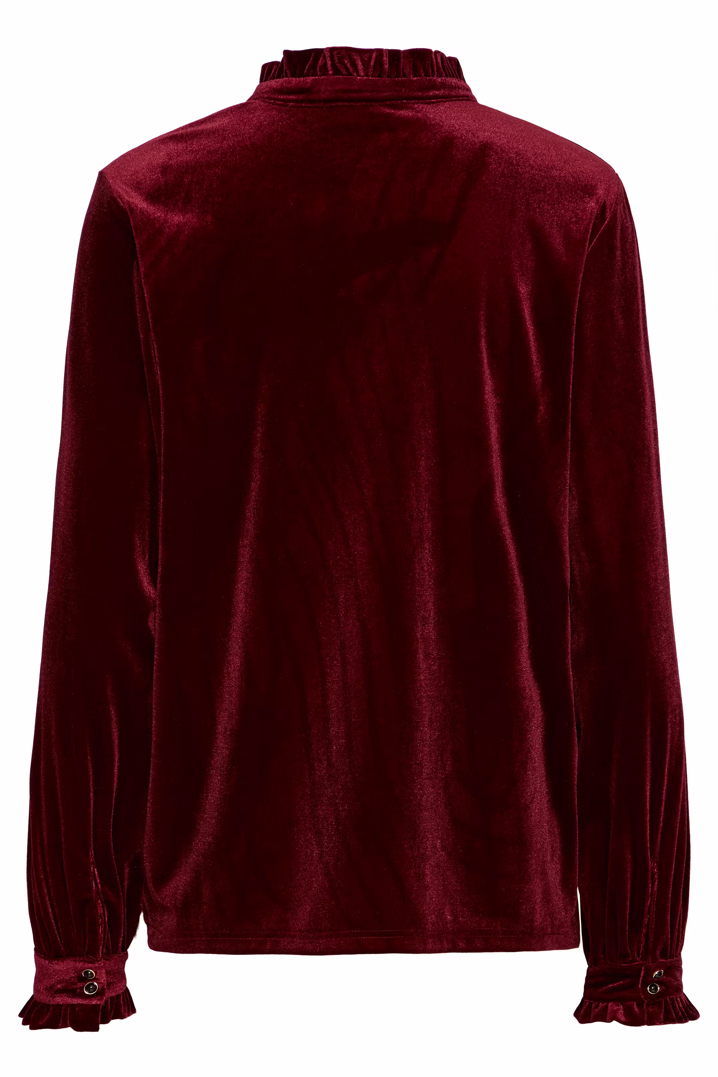 PZBARBARA Bluse PACK BACK 50210170-191718