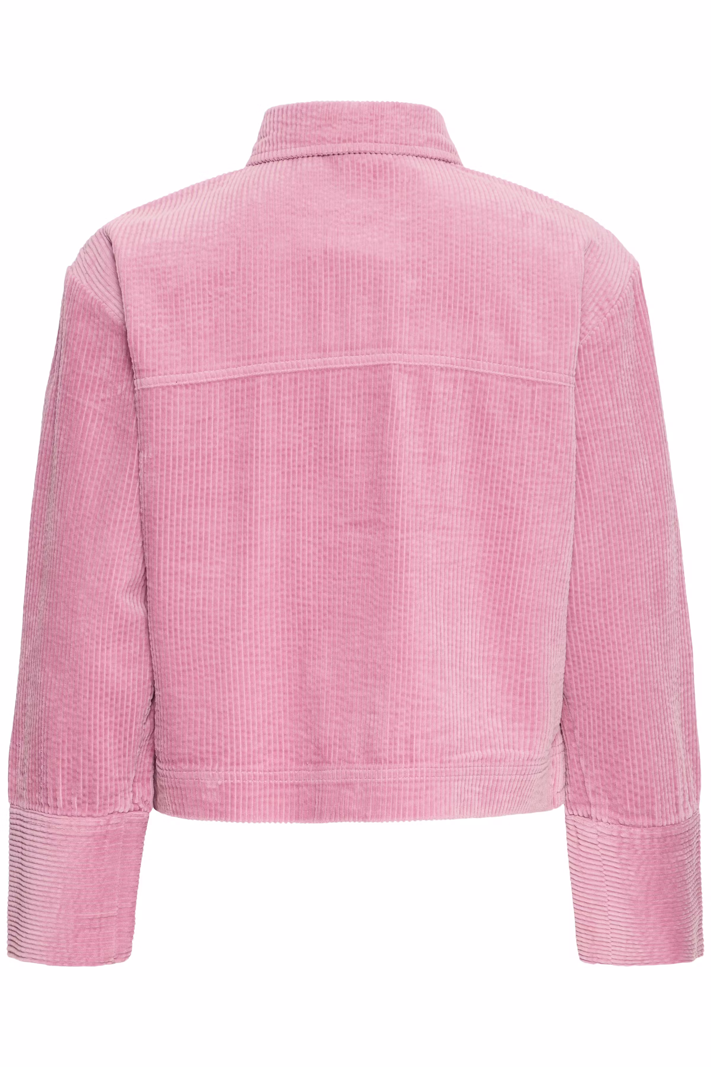 BYDIXIAN Skjorte PACK BACK 20818106-162107