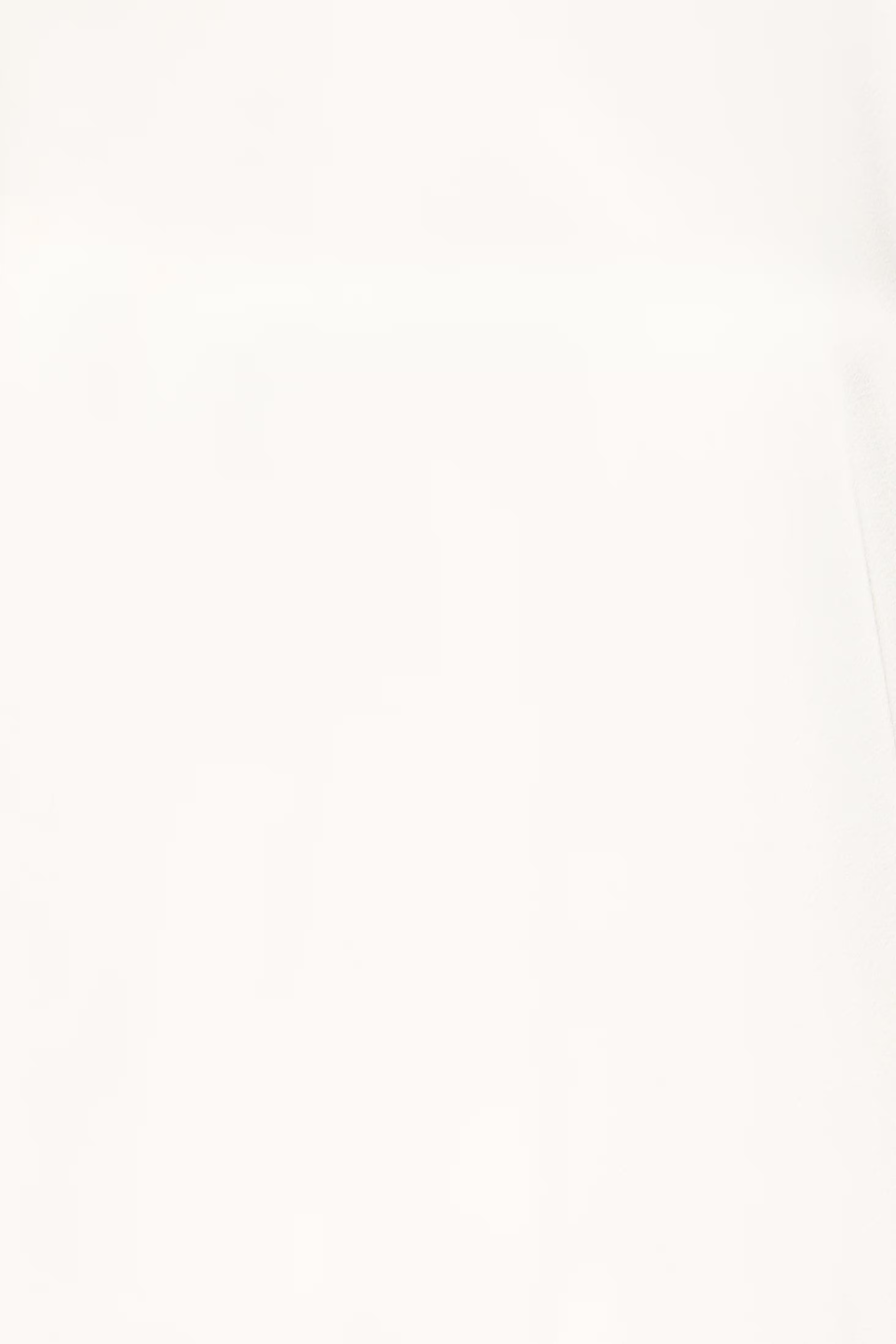 BYSELITA T-shirt PACK DETAIL 20817186-114300