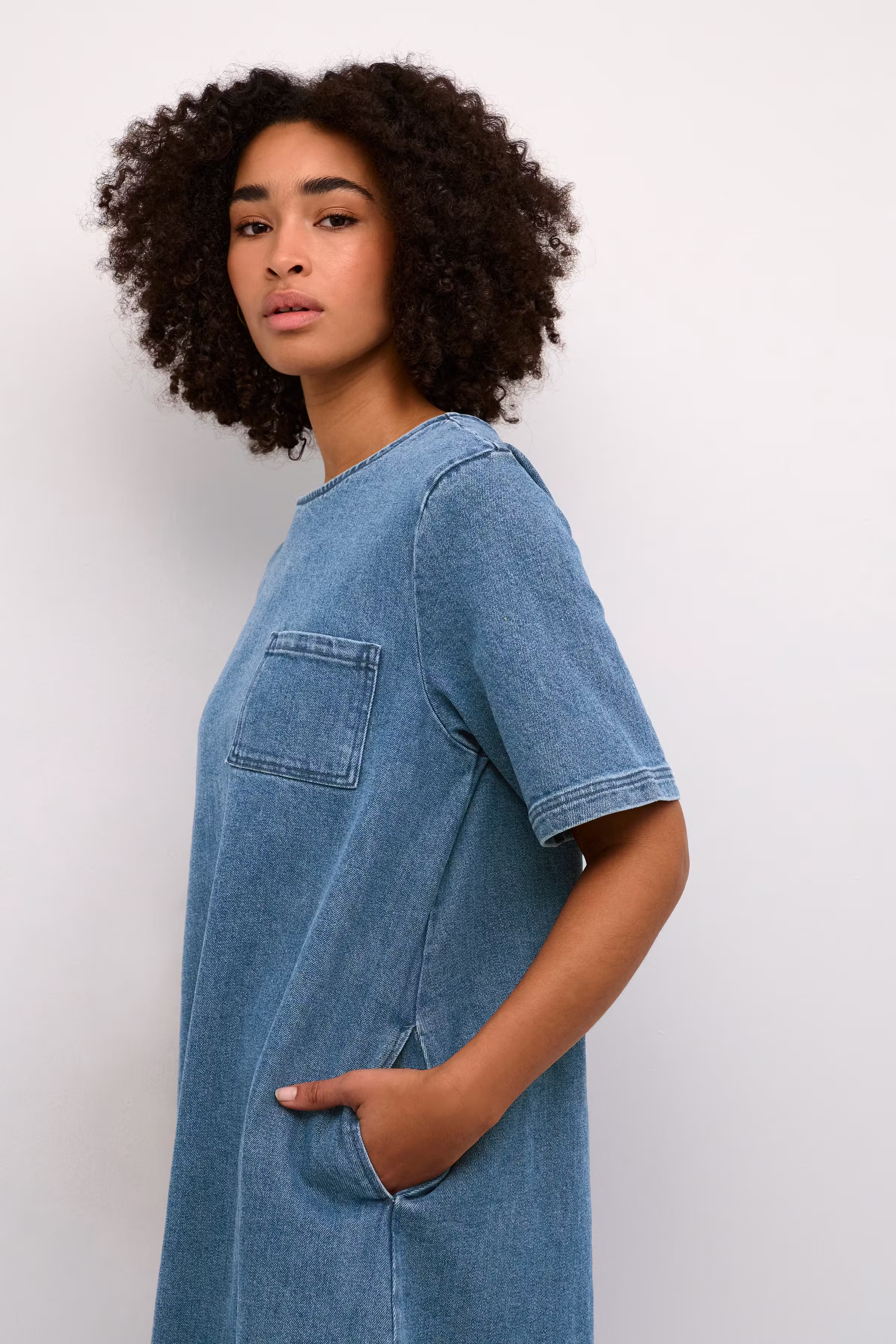 KAnicola Denim Dress LOOKBOOK DETAIL 10552323-103168