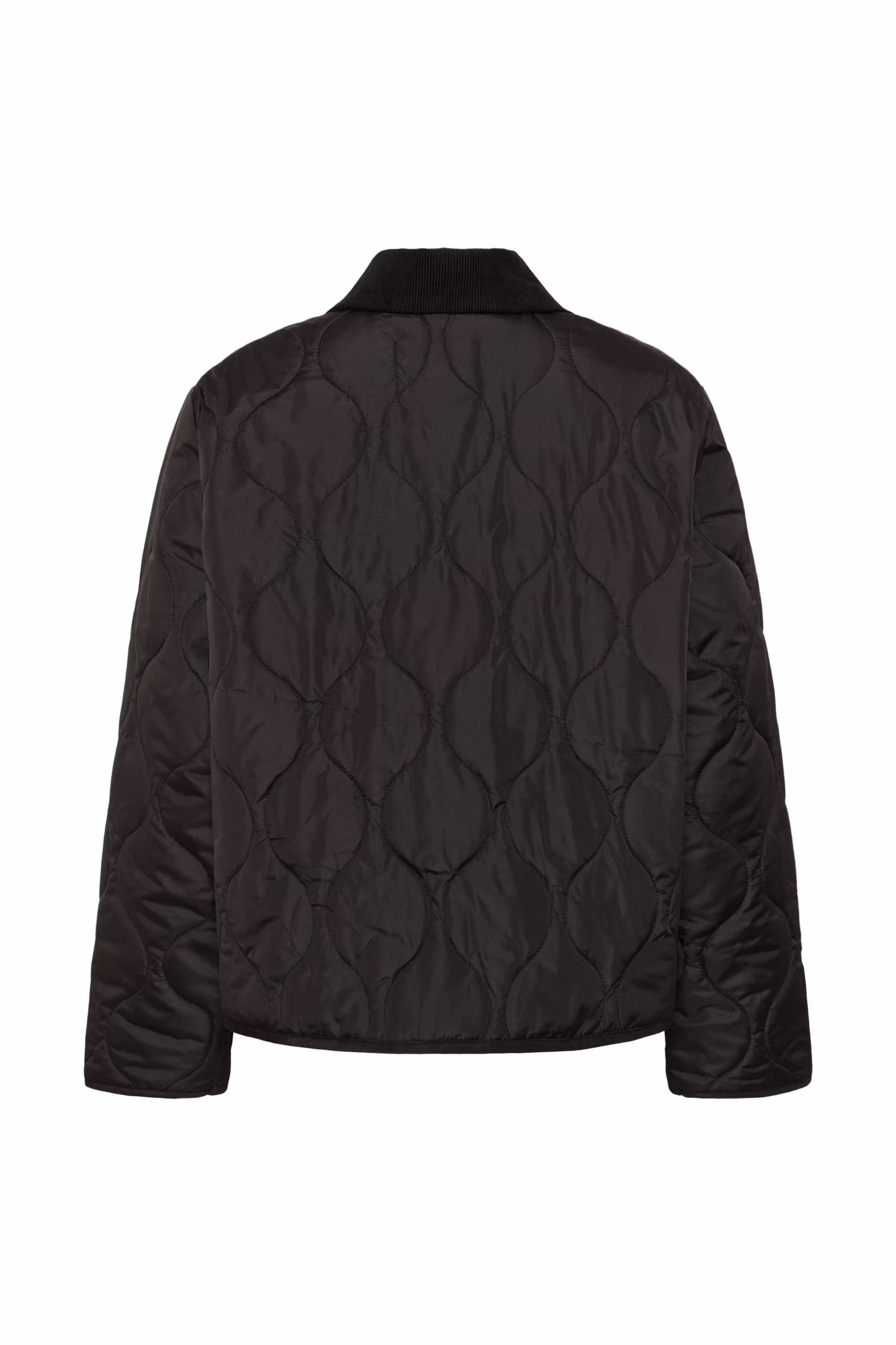 CUgiana Gewatteerde jas PACK BACK 50112838-500012