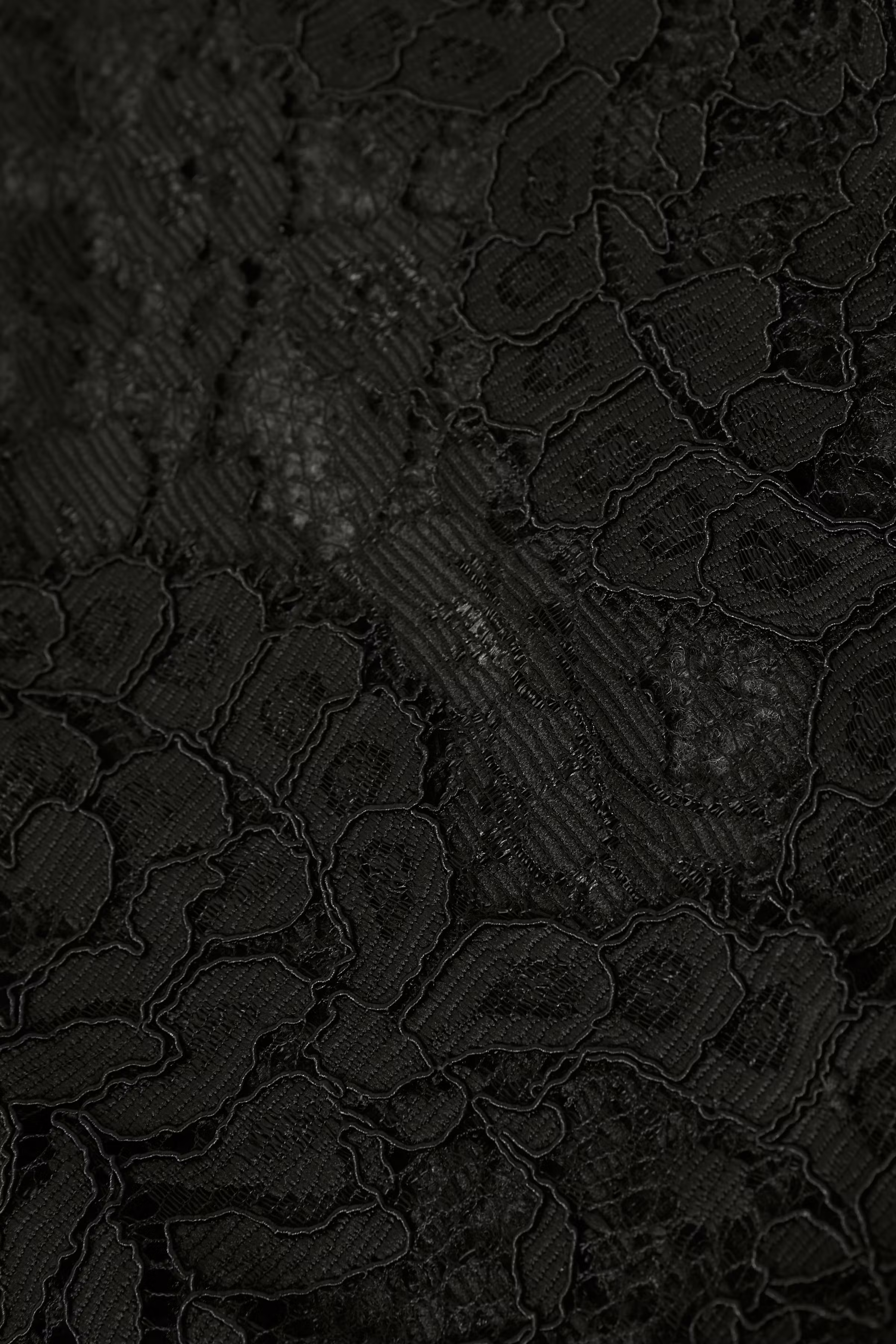 Bolero PACK DETAIL 10550563-50600