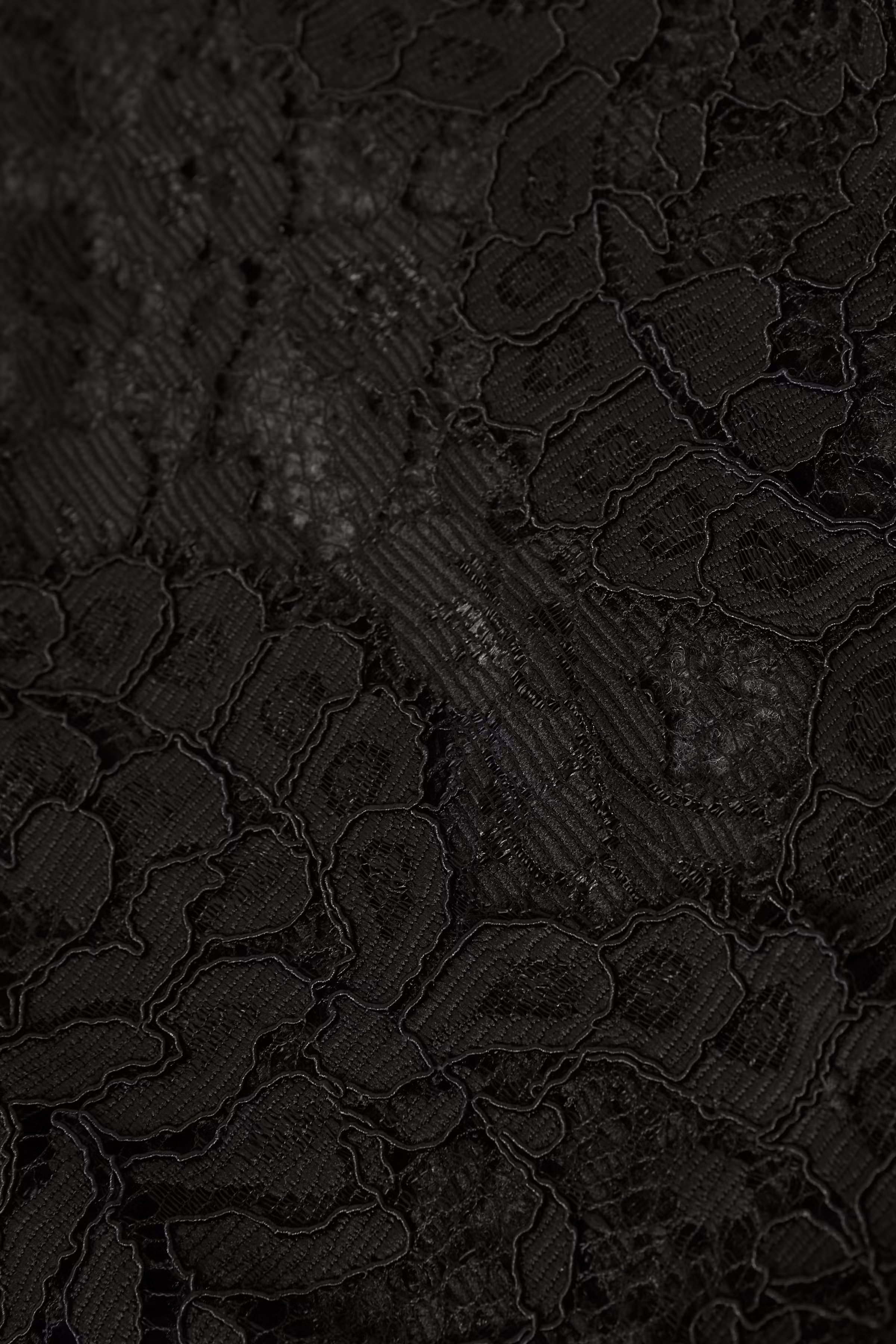 Bolero PACK DETAIL 10550563-50600