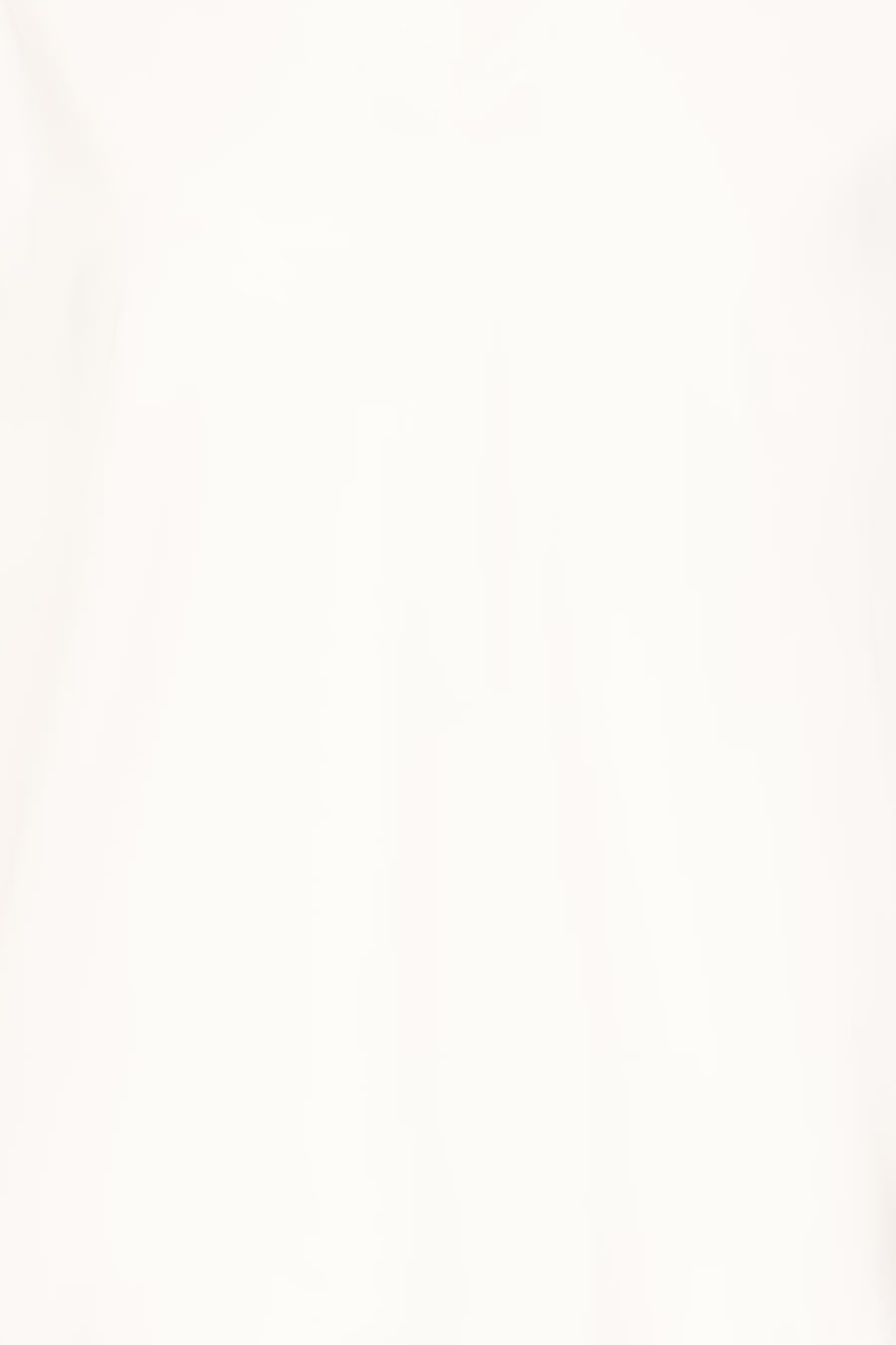 IHMIMMIE T-shirt PACK DETAIL 20125486-114201